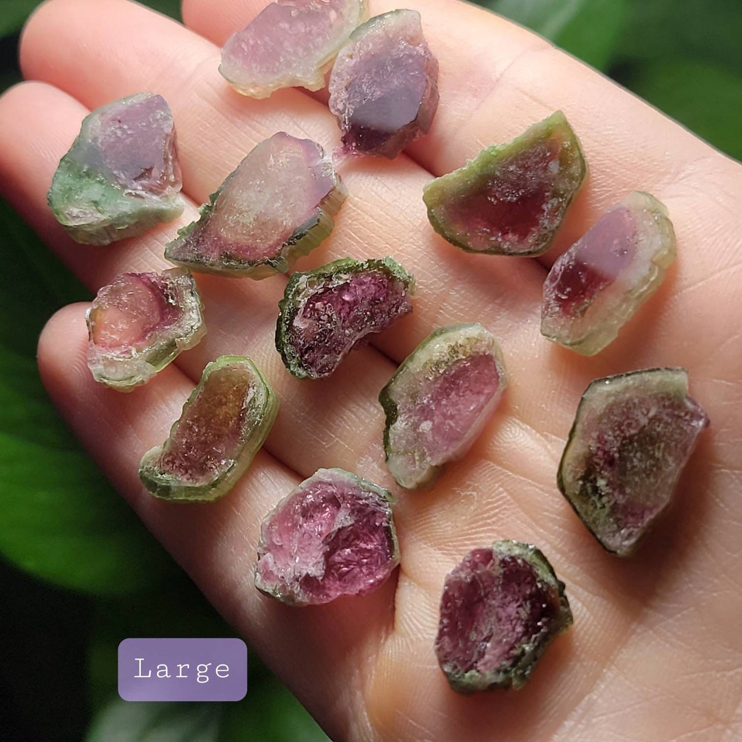 Watermelon Tourmaline Pendant