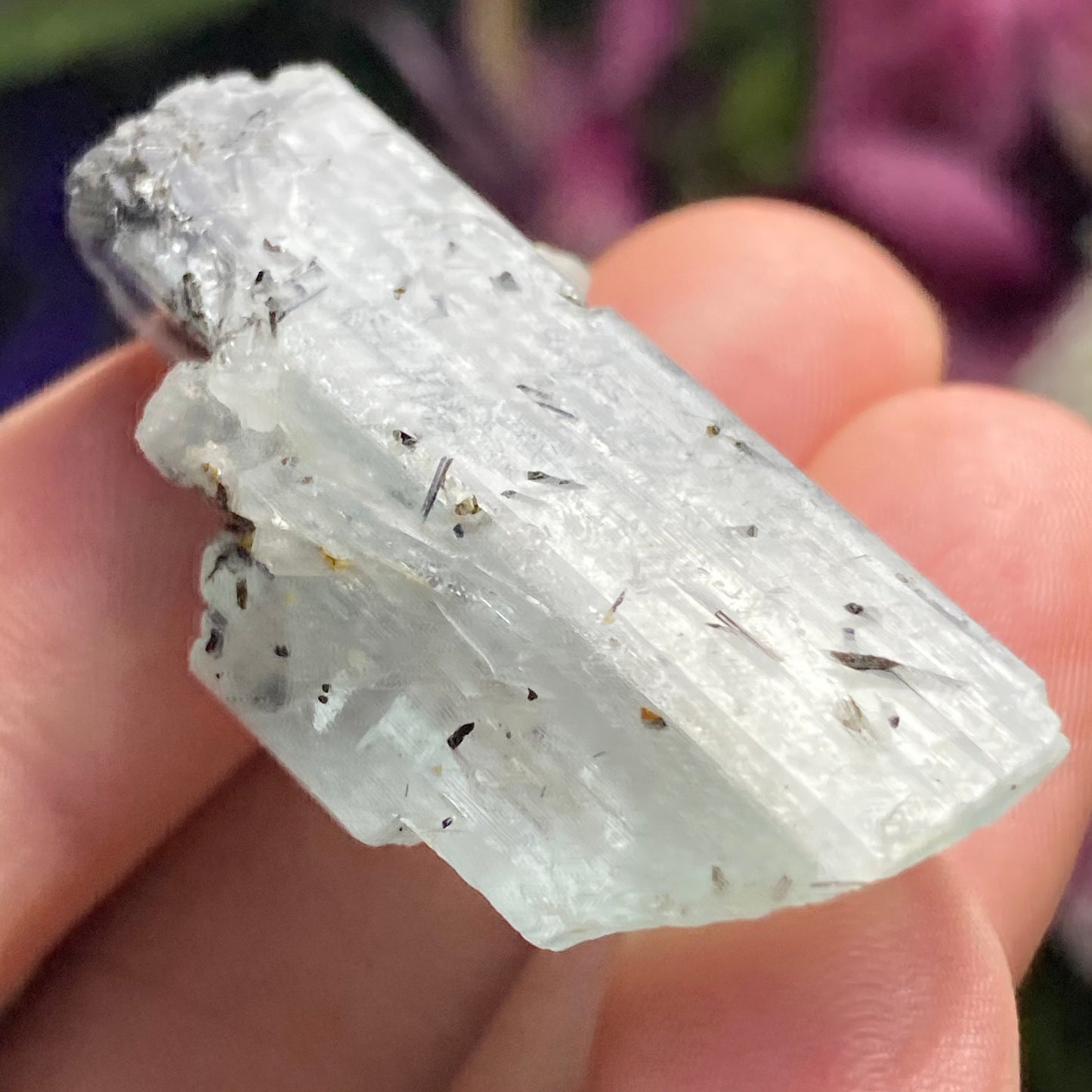 Black Tourmaline in Aquamarine Crystal