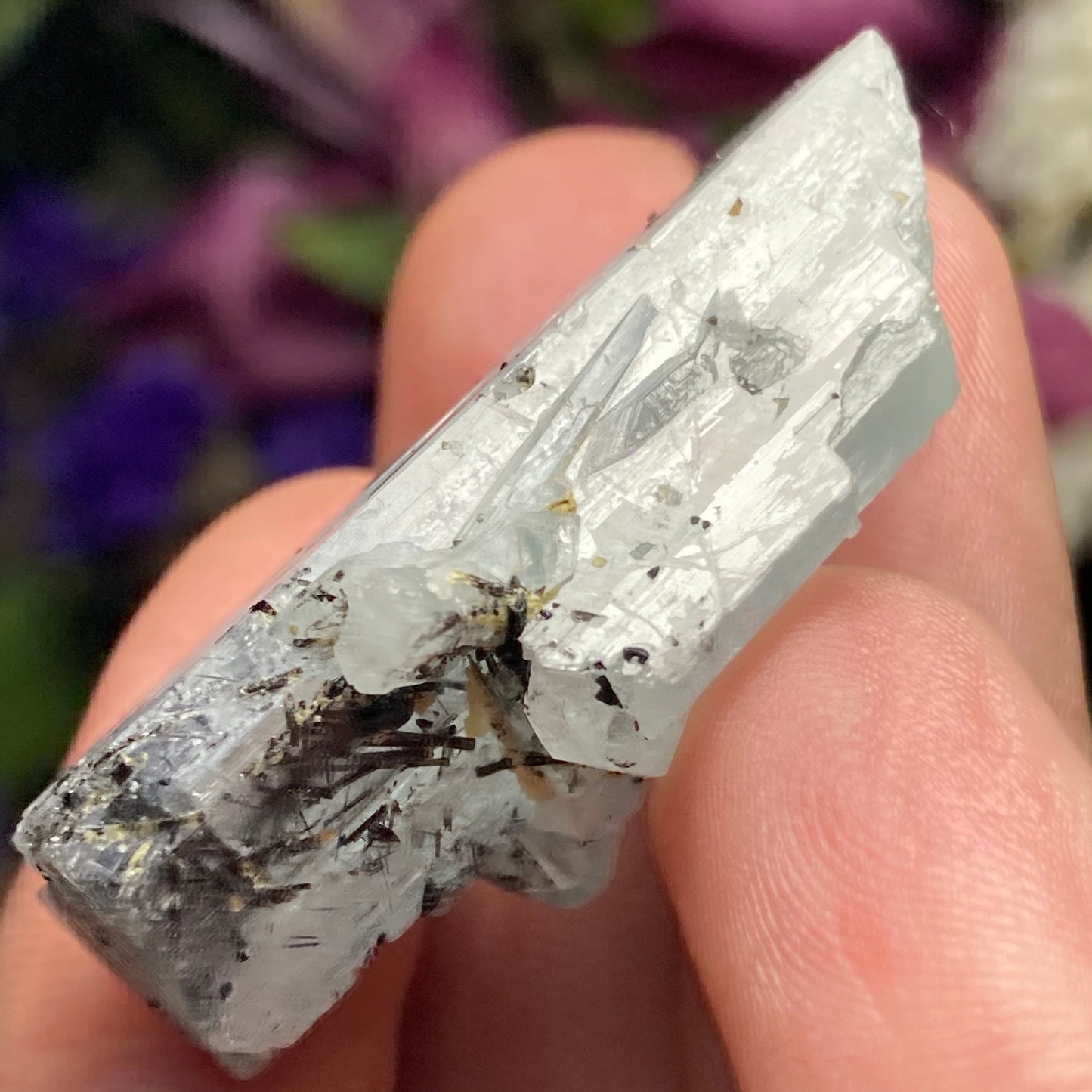 Black Tourmaline in Aquamarine Crystal