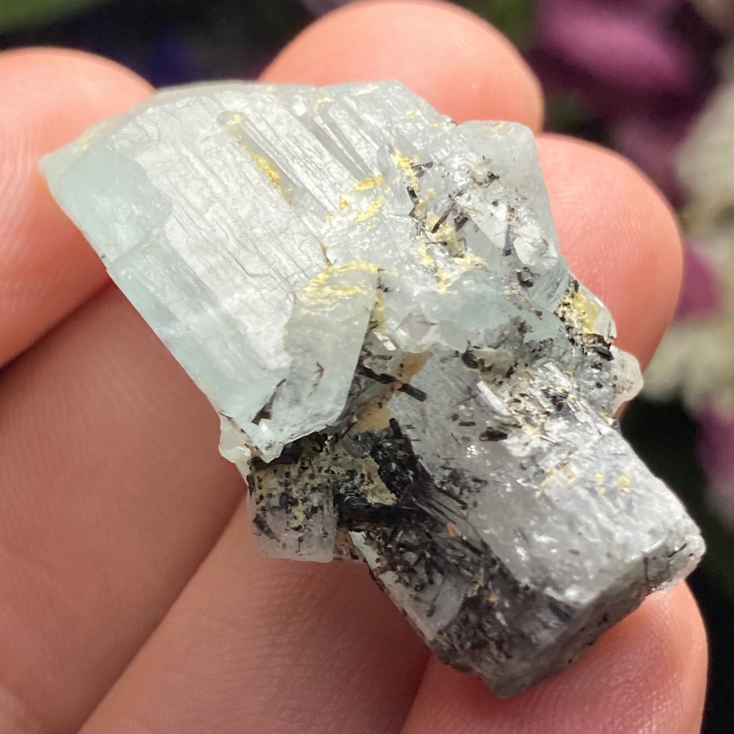 Black Tourmaline in Aquamarine Crystal