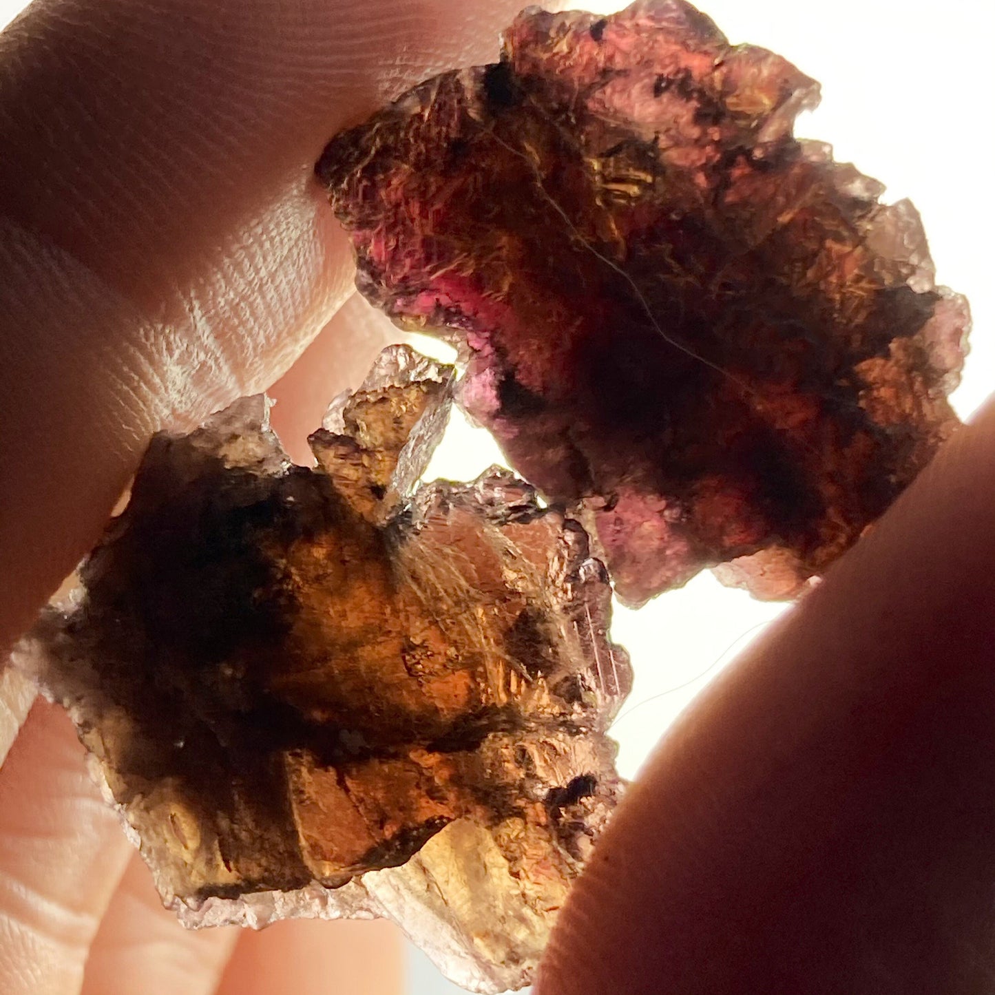 Axinite Crystal