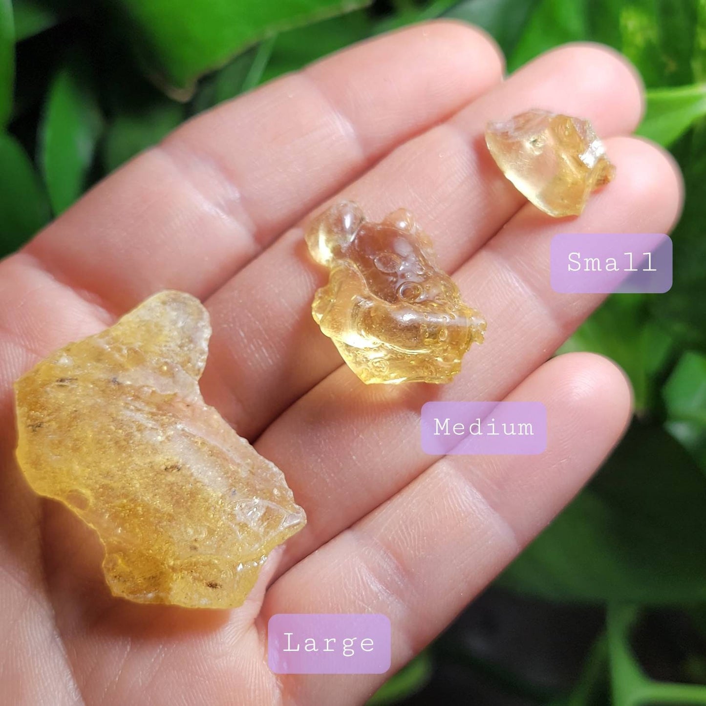 Natural Amber Specimen