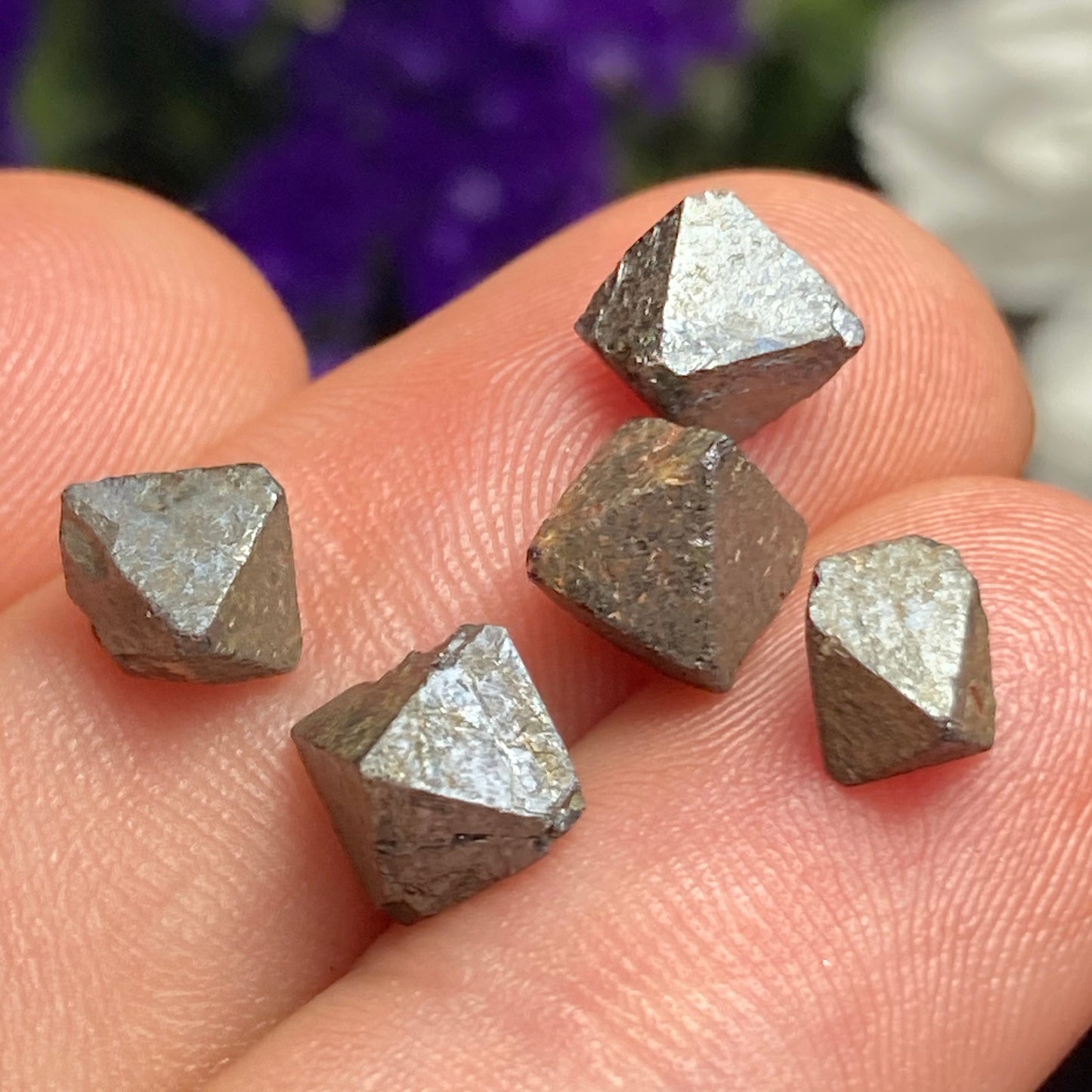 Magnetite Specimens (Set of 5)