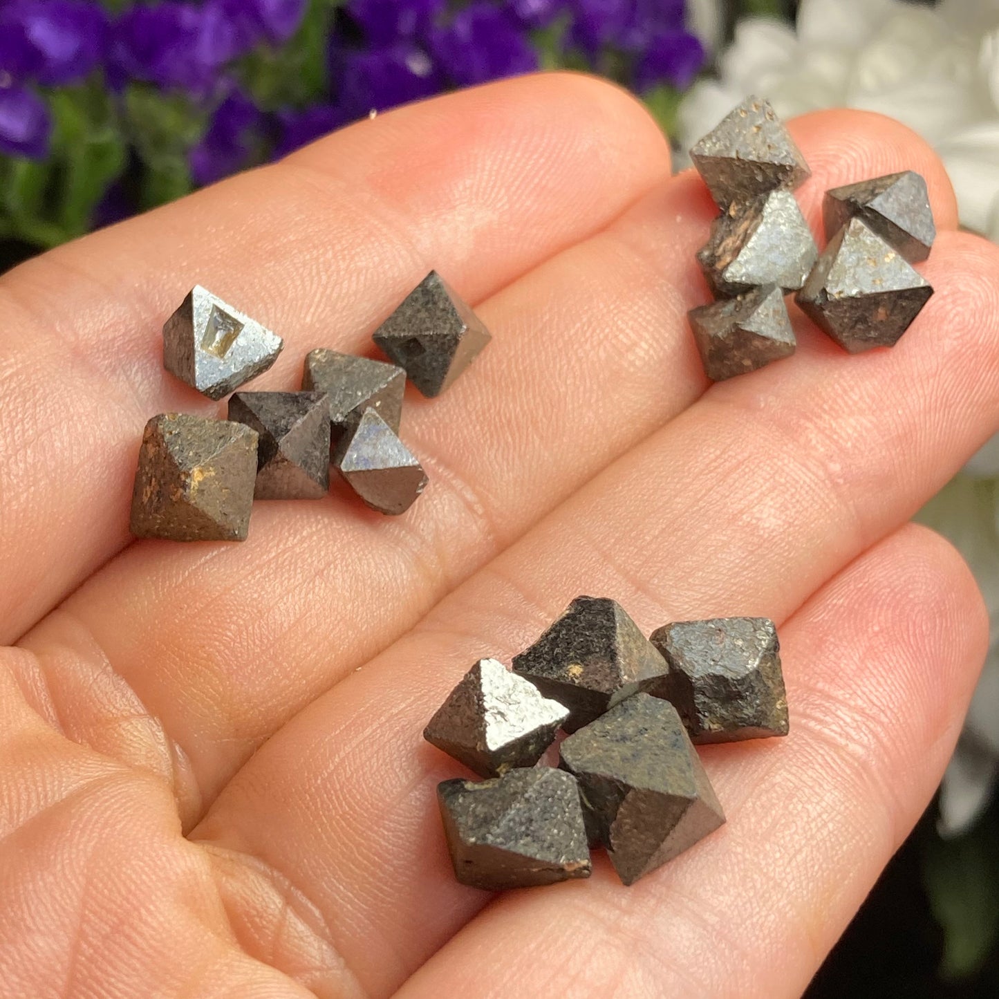Magnetite Specimens (Set of 5)