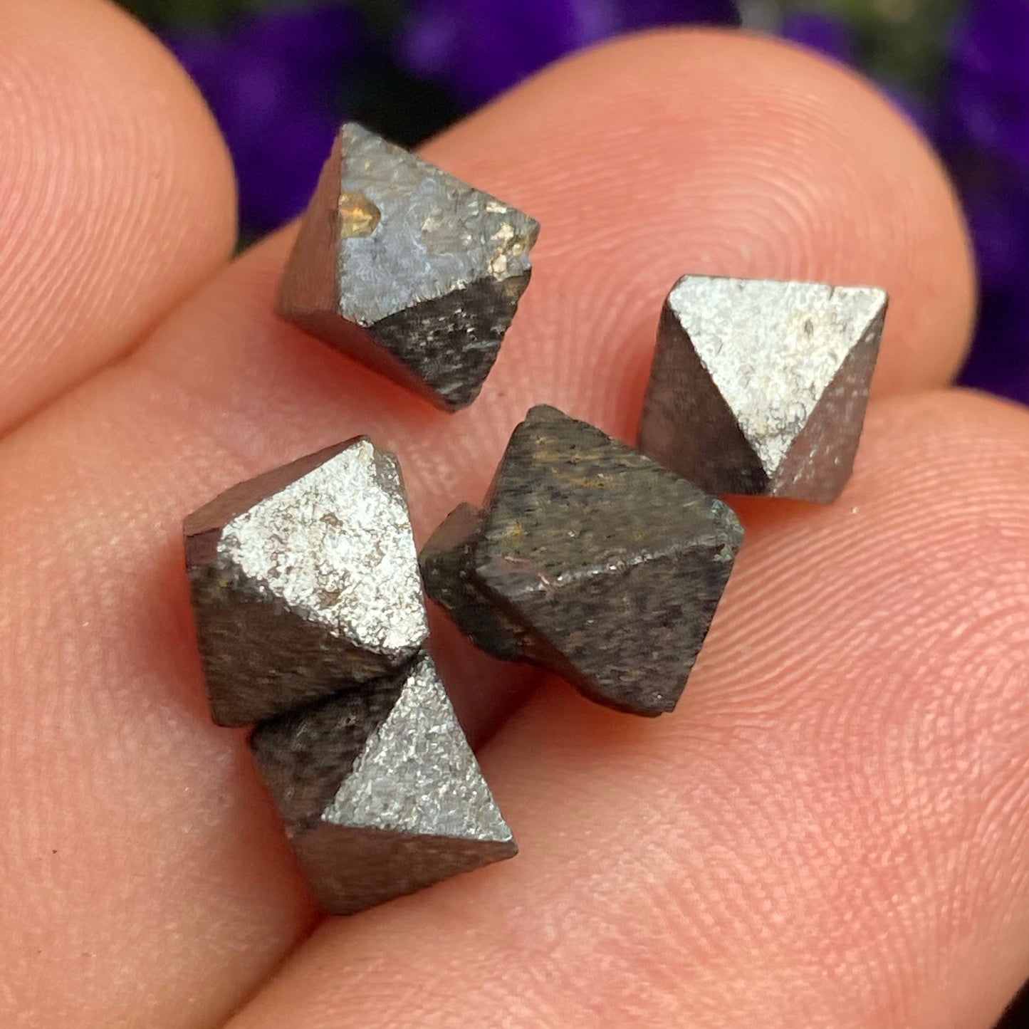 Magnetite Specimens (Set of 5)