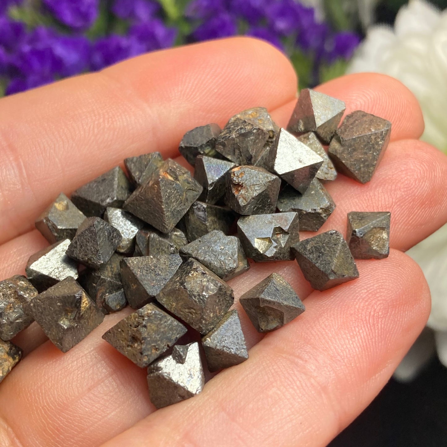 Magnetite Specimens (Set of 5)