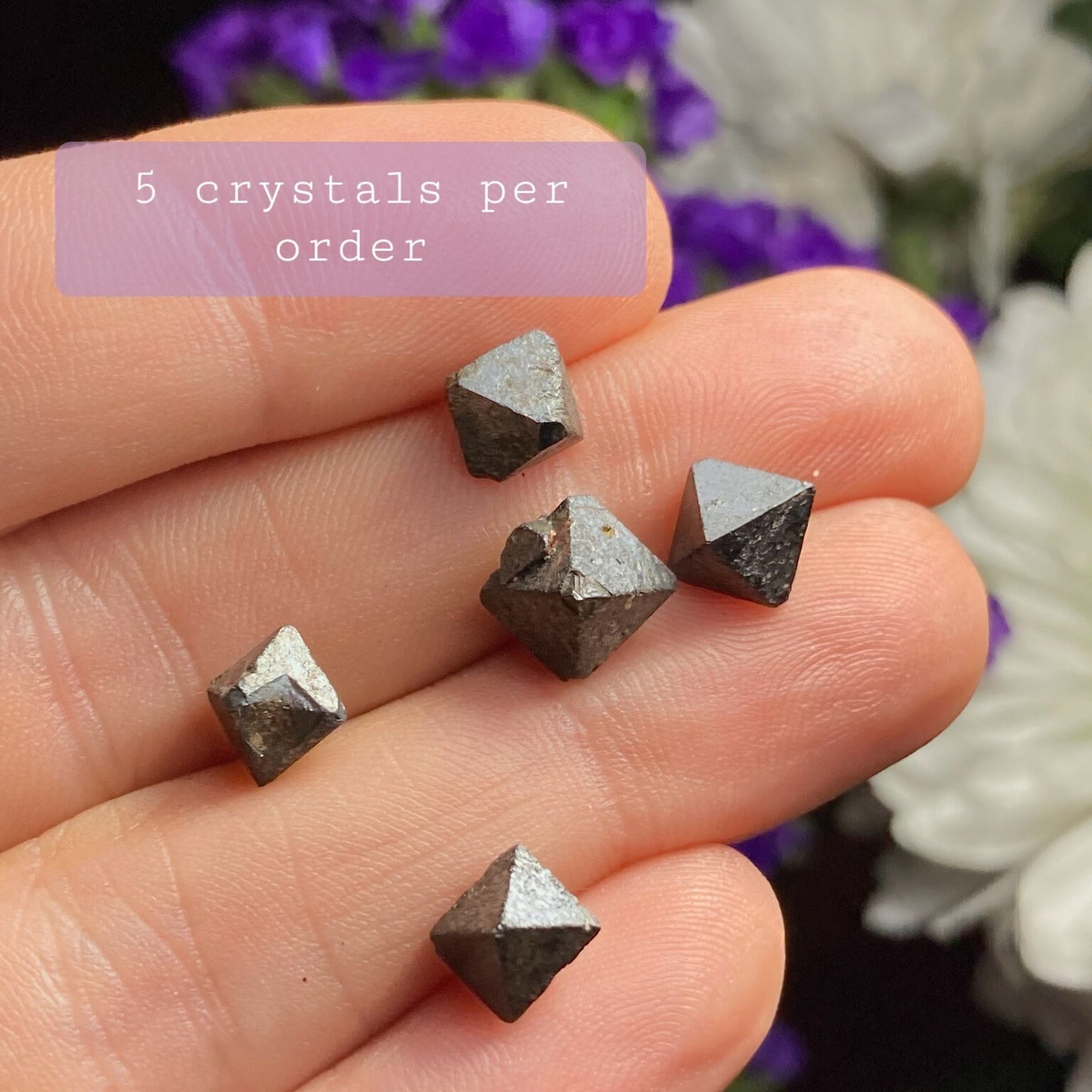 Magnetite Specimens (Set of 5)