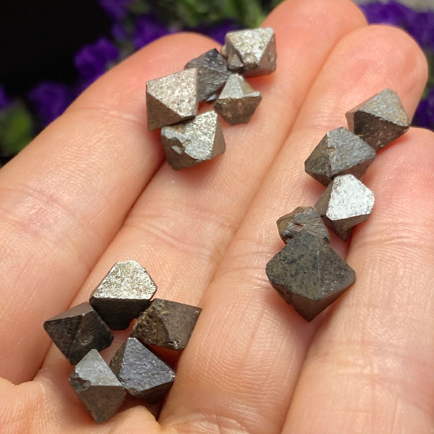 Magnetite Specimens (Set of 5)