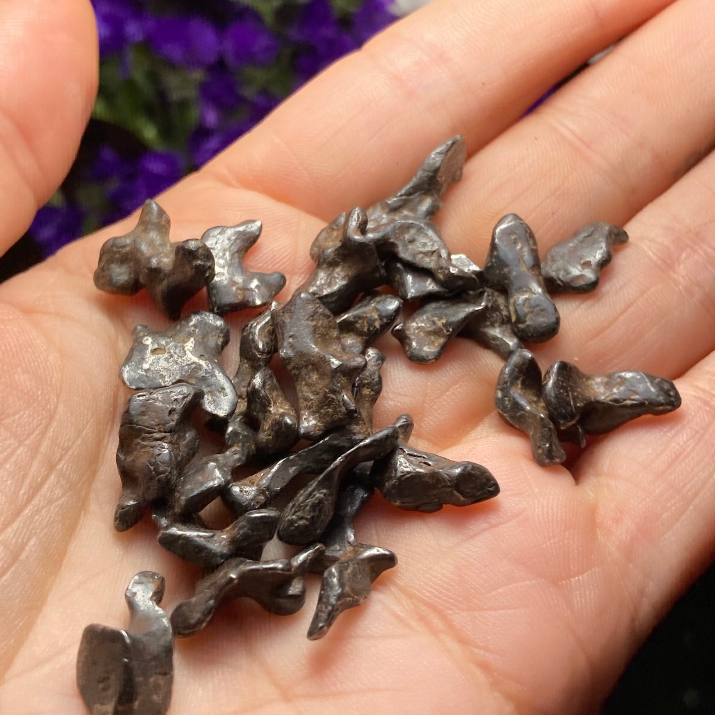 Meteorite