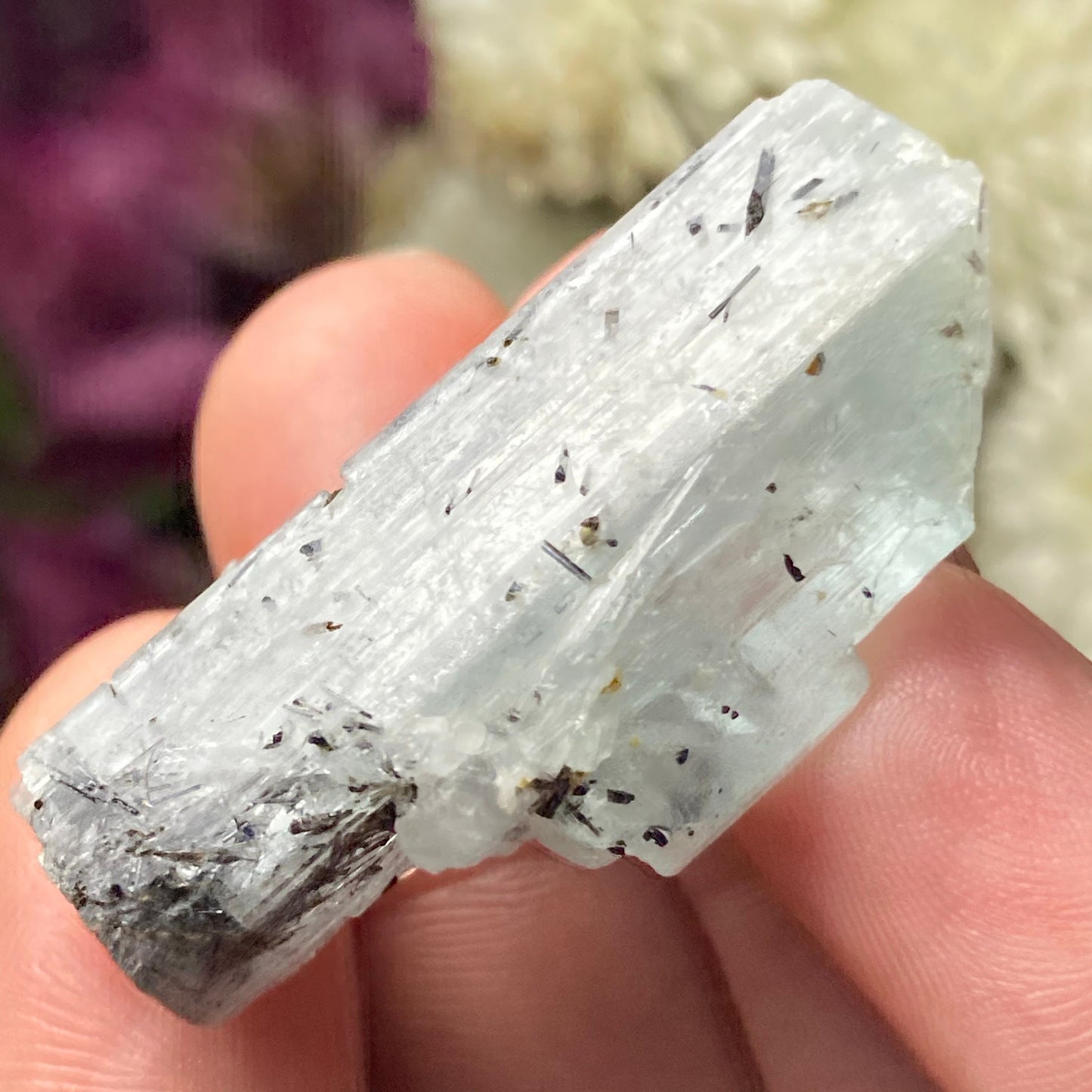 Black Tourmaline in Aquamarine Crystal
