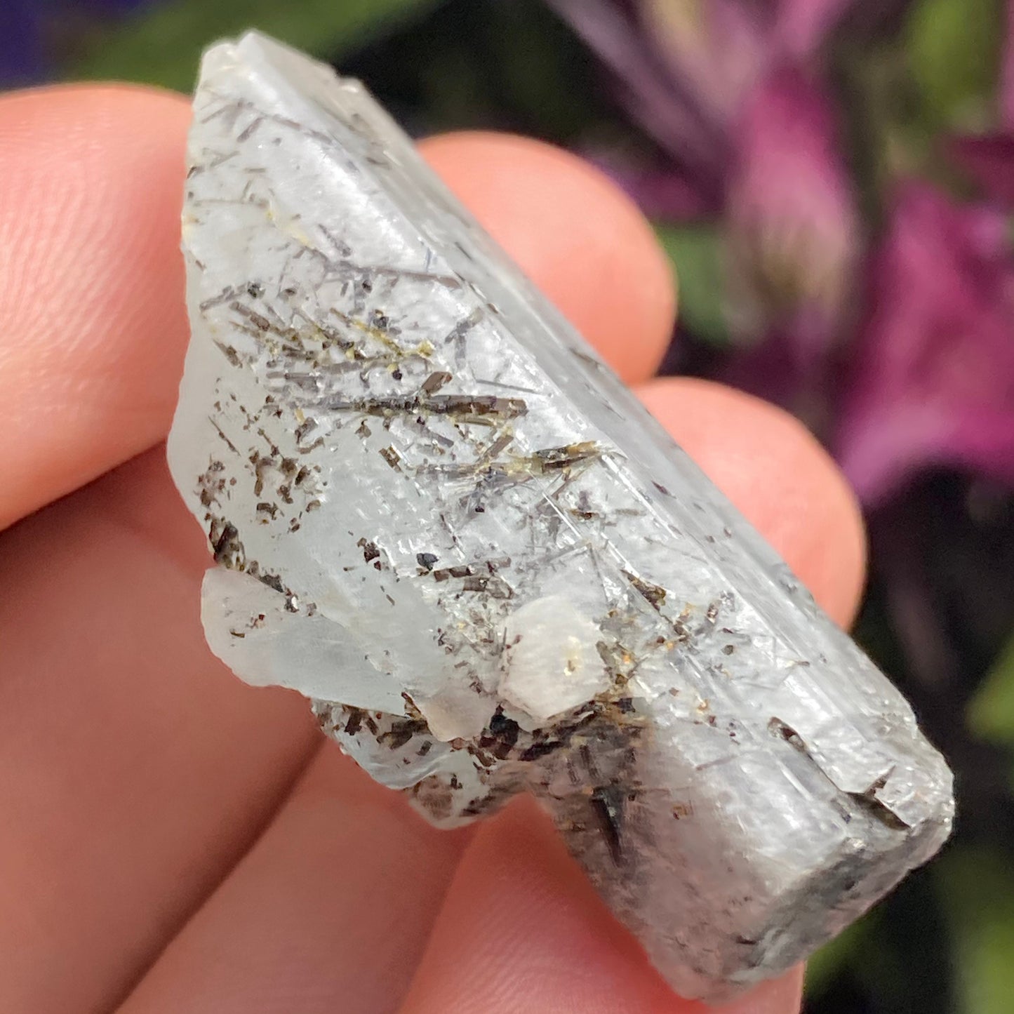 Black Tourmaline in Aquamarine Crystal