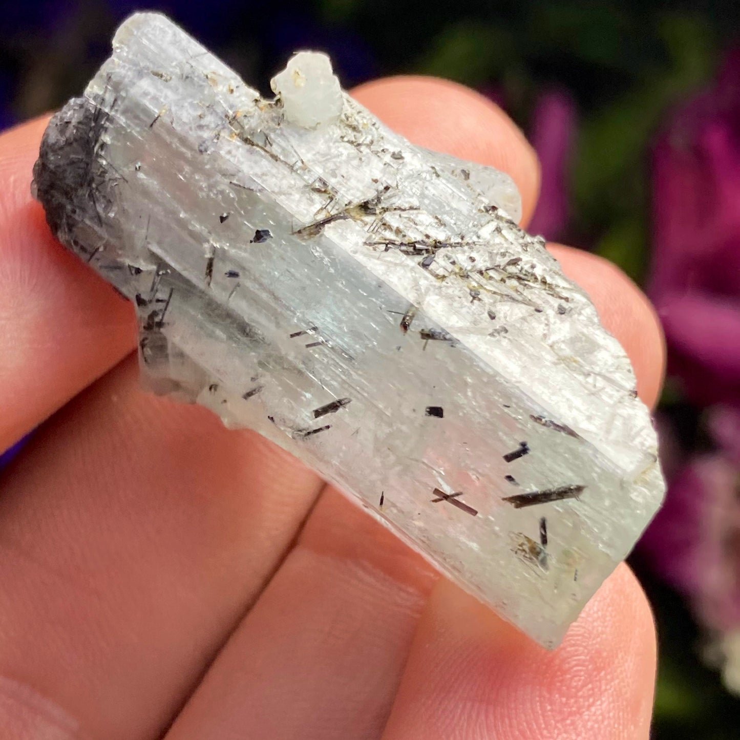 Black Tourmaline in Aquamarine Crystal