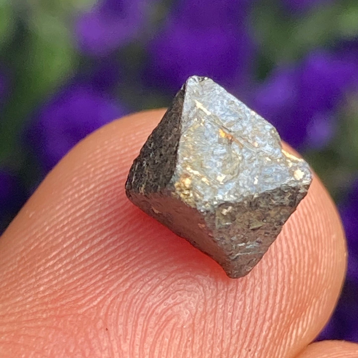 Magnetite Specimens (Set of 5)
