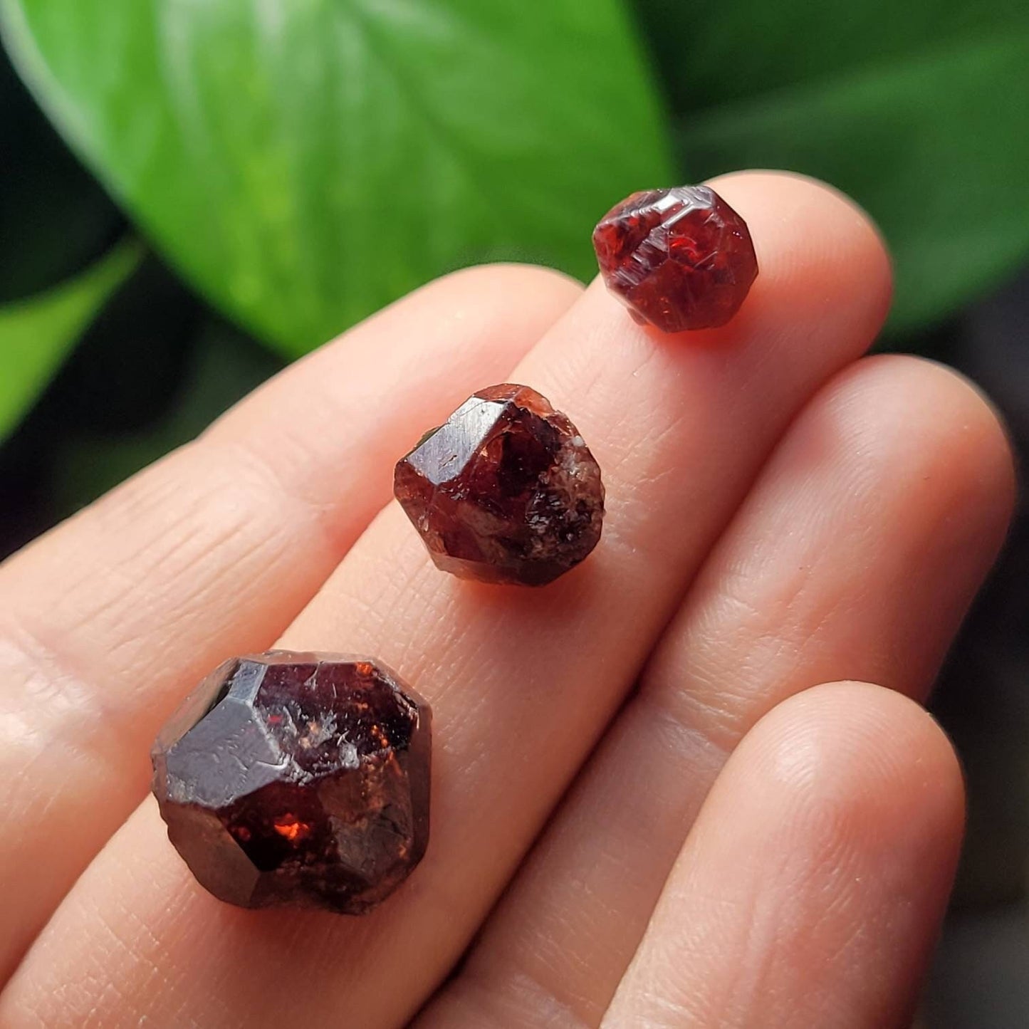 Natural Garnet Crystal
