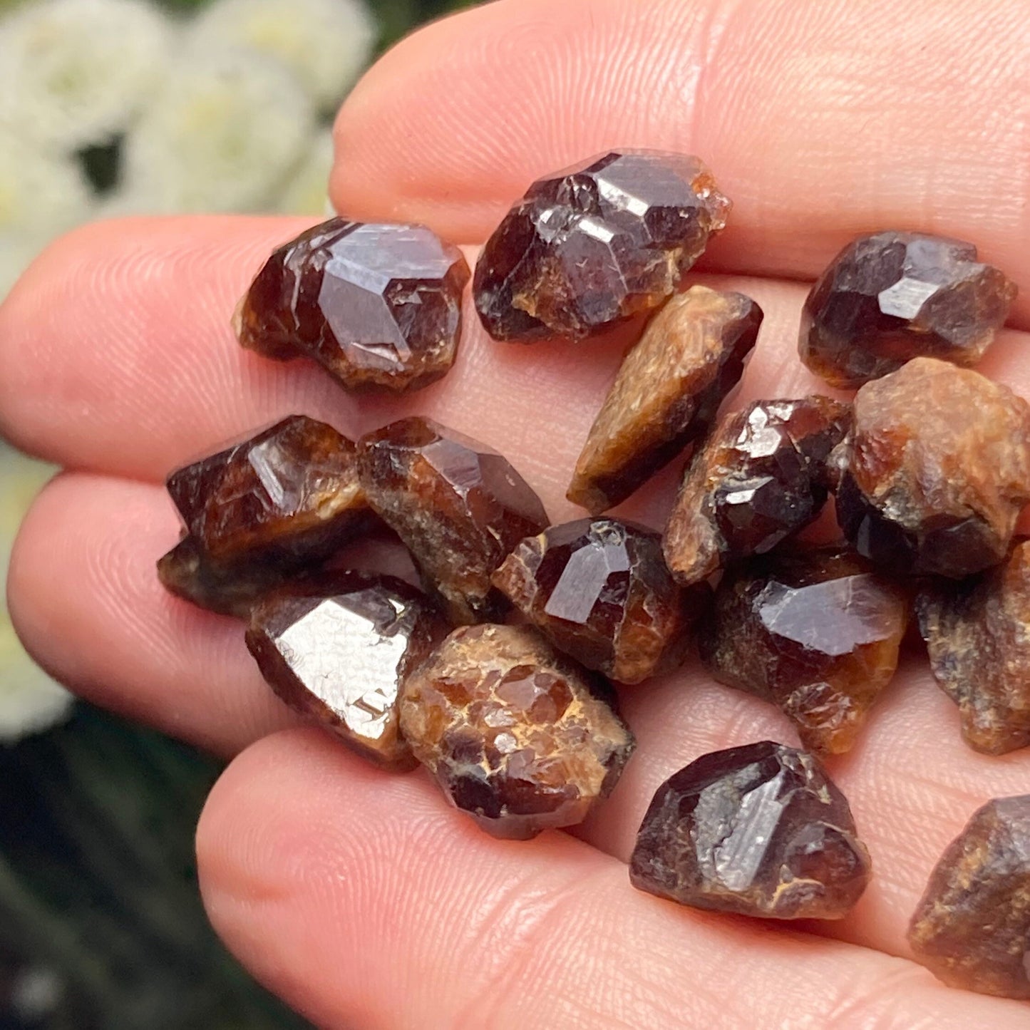 Natural Garnet Crystal