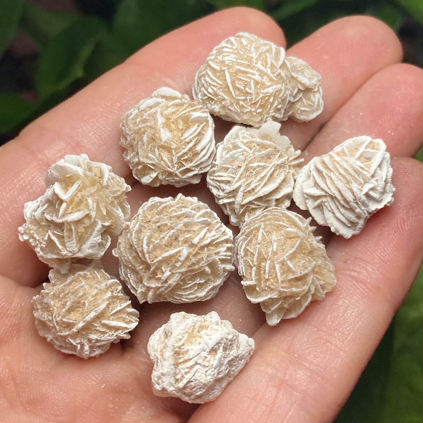 Desert Rose Crystal