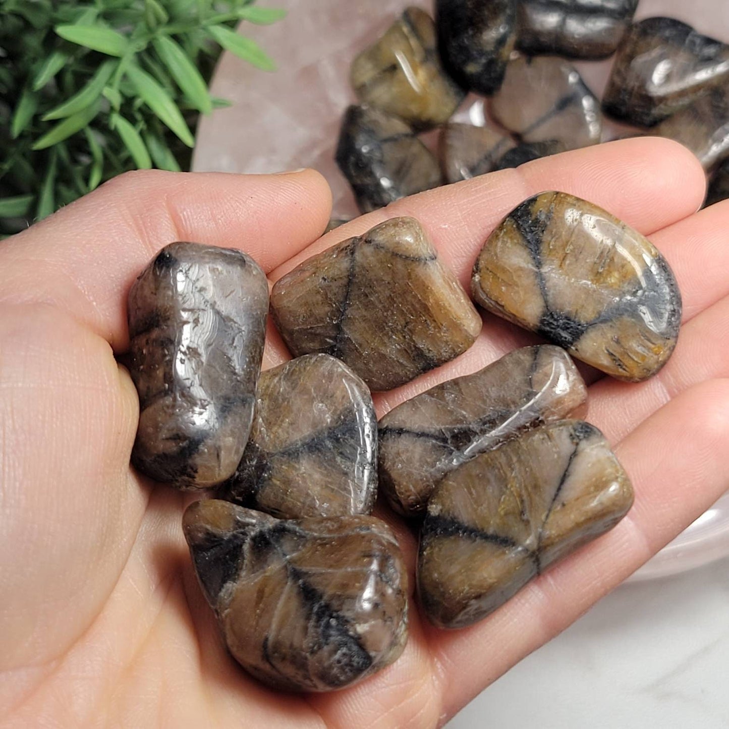Chiastolite Crystal