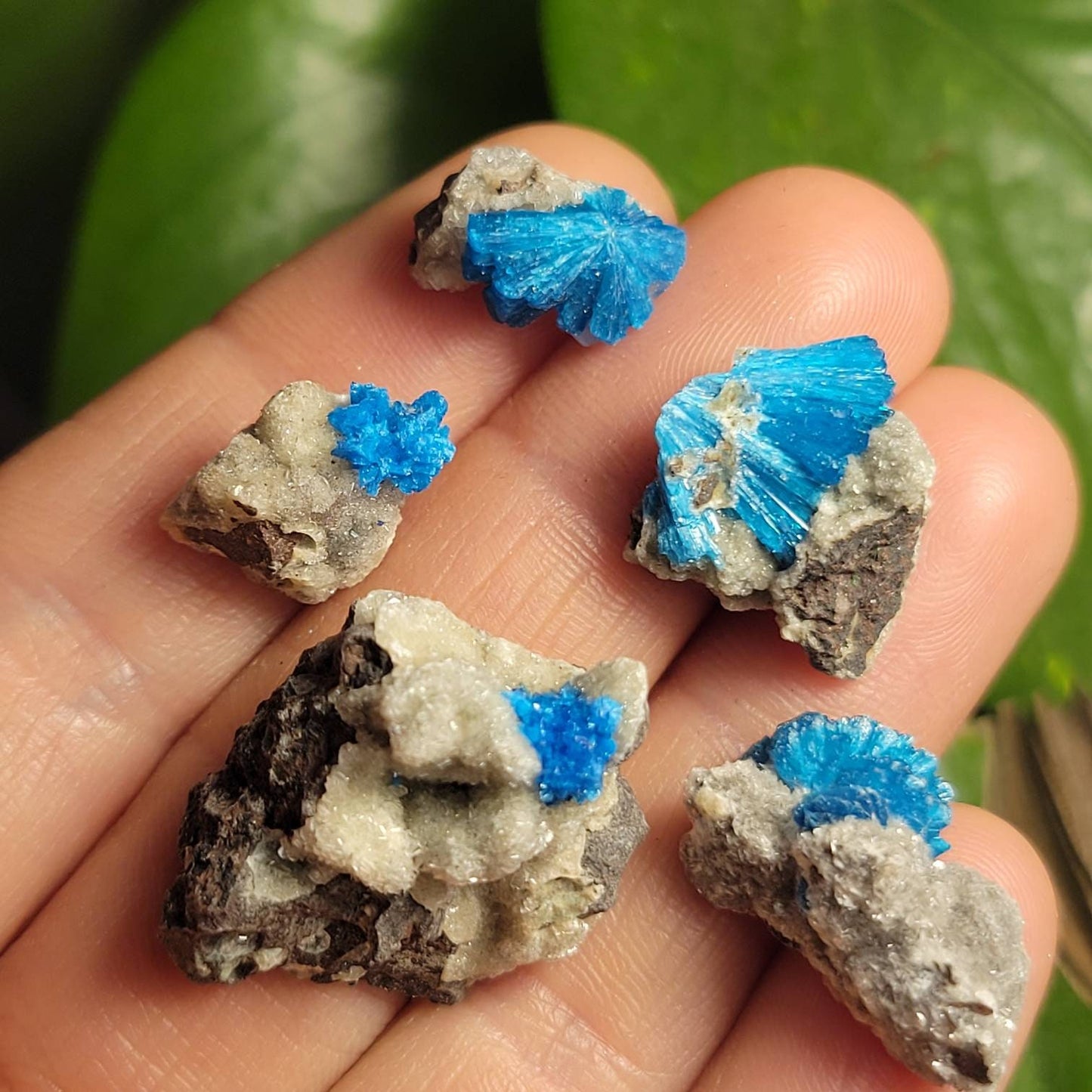 Cavansite