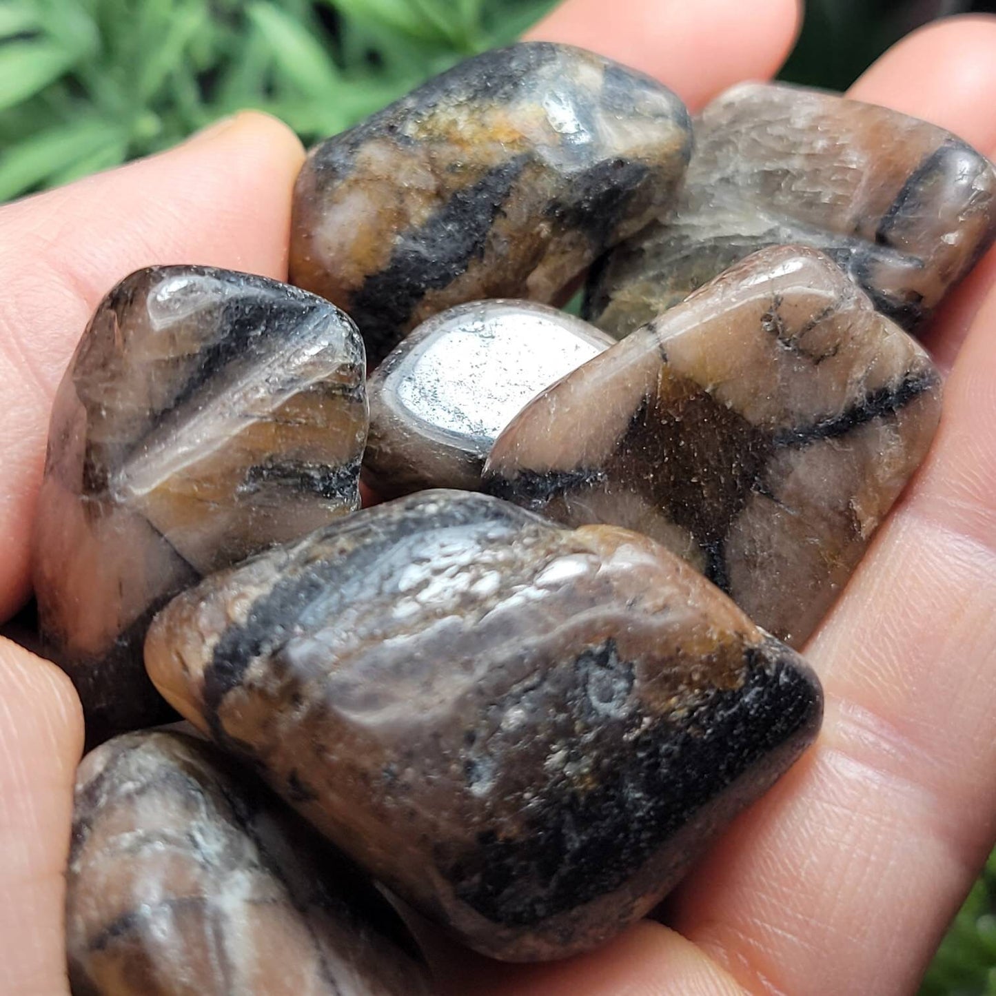 Chiastolite Crystal