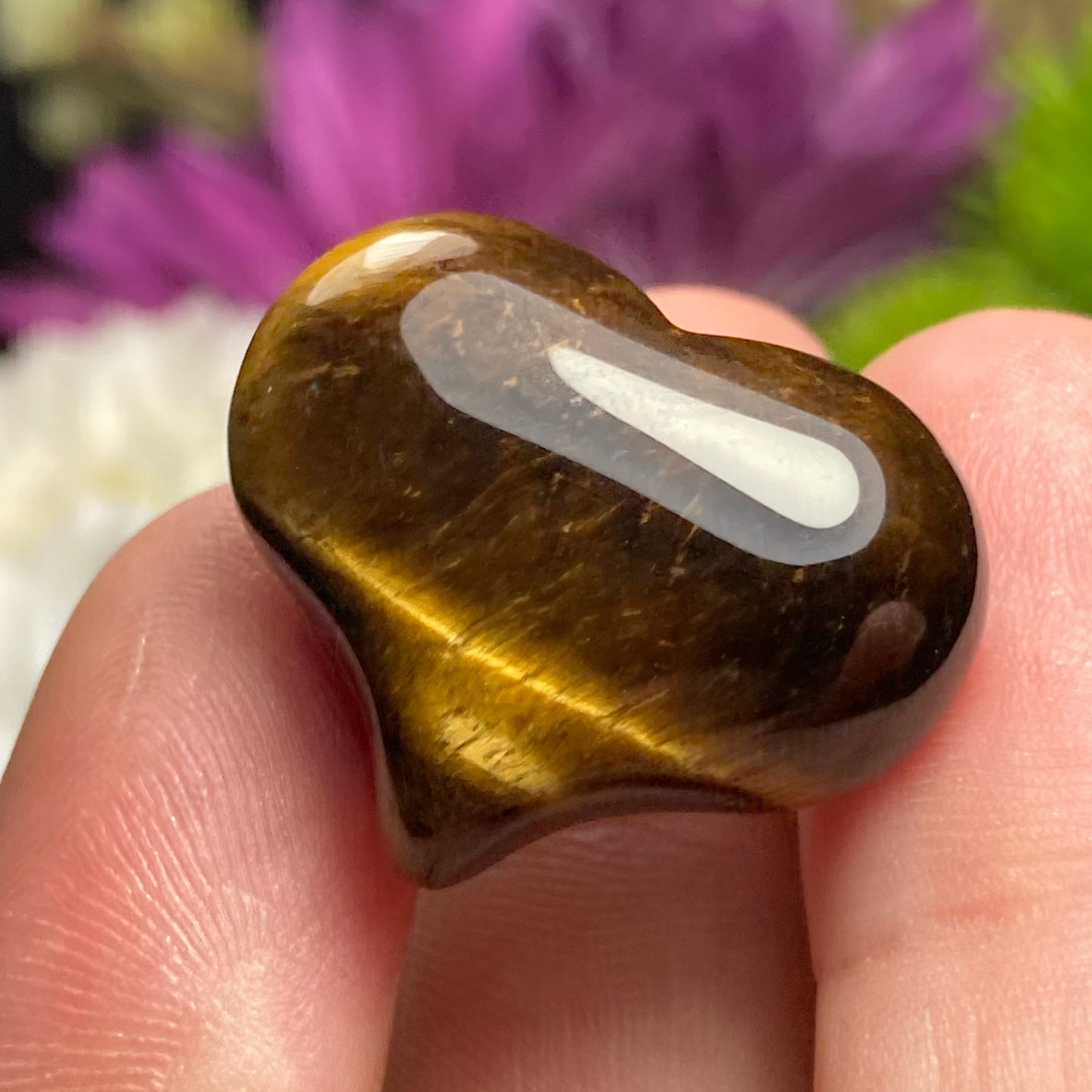 Tigers Eye Heart