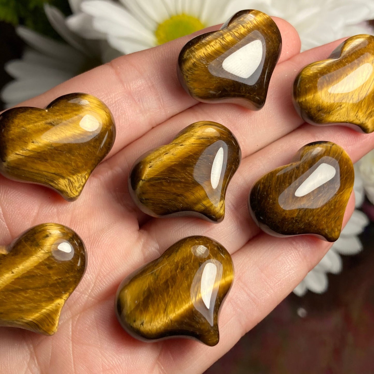 Tigers Eye Heart