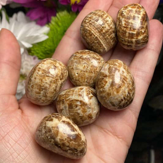 Brown Aragonite Tumbled Crystal from Peru (1"), Polished Aragonite Stone Specimen