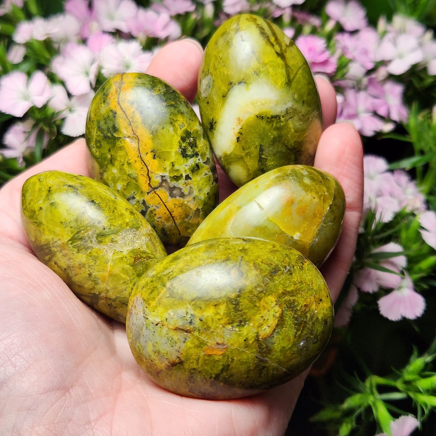 Green Opal Specimen