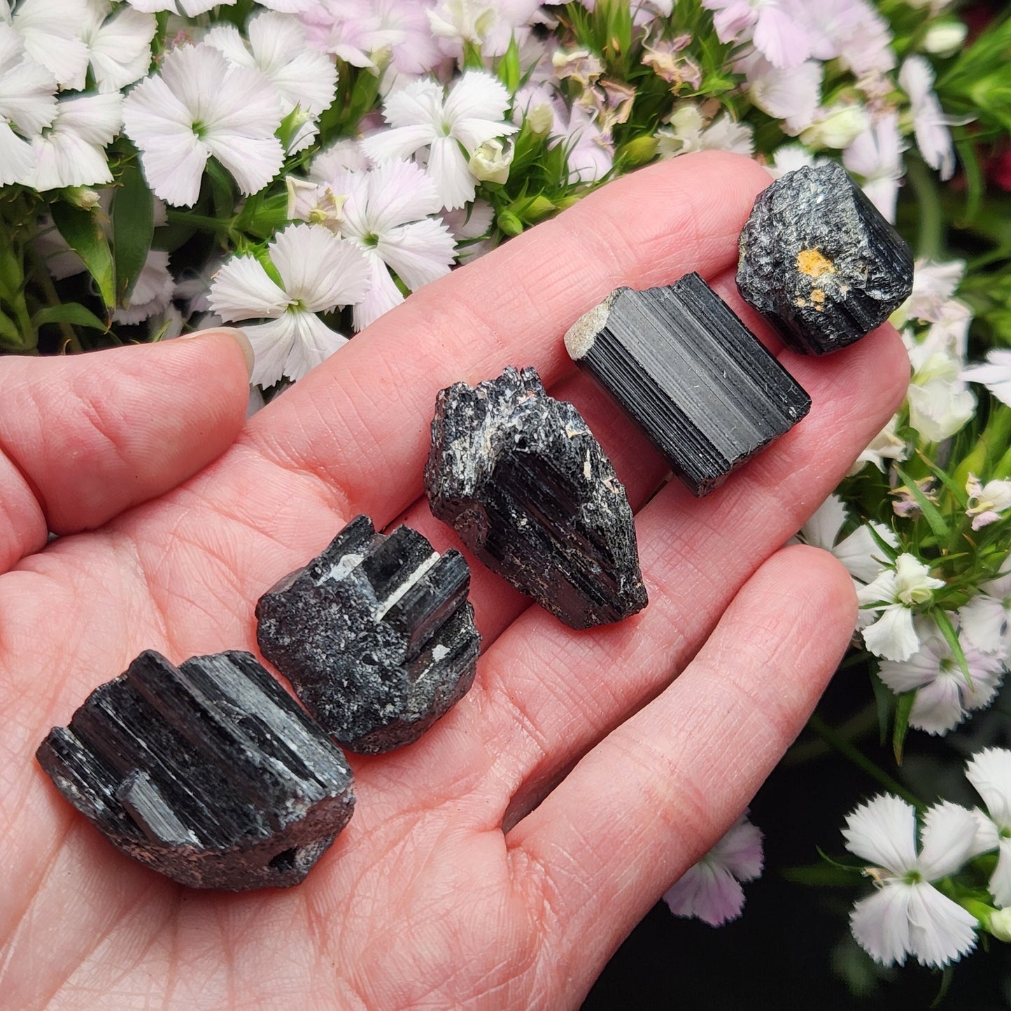 Raw Black Tourmaline Crystal
