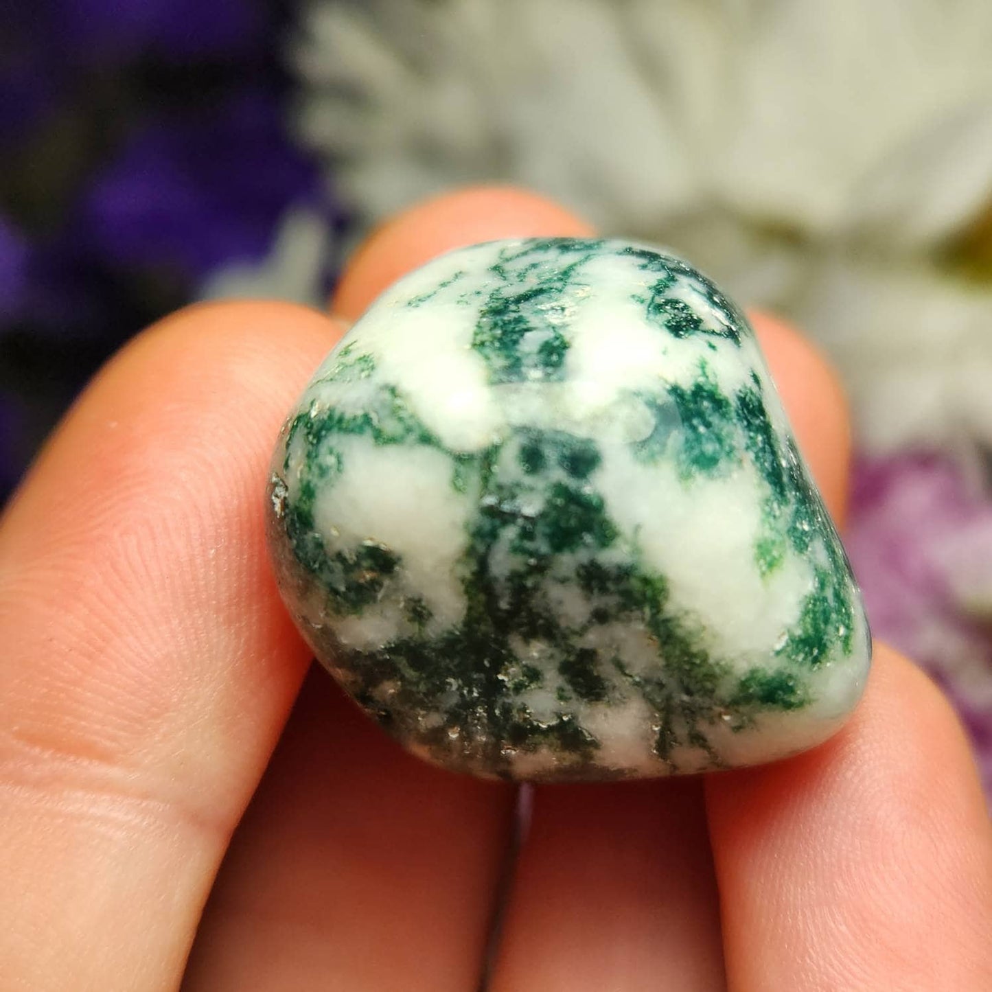 Tree Agate Crystal