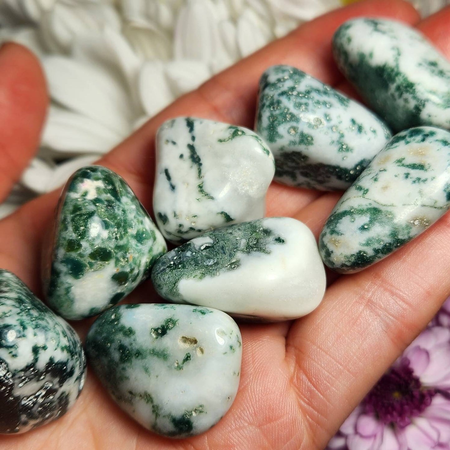 Tree Agate Crystal