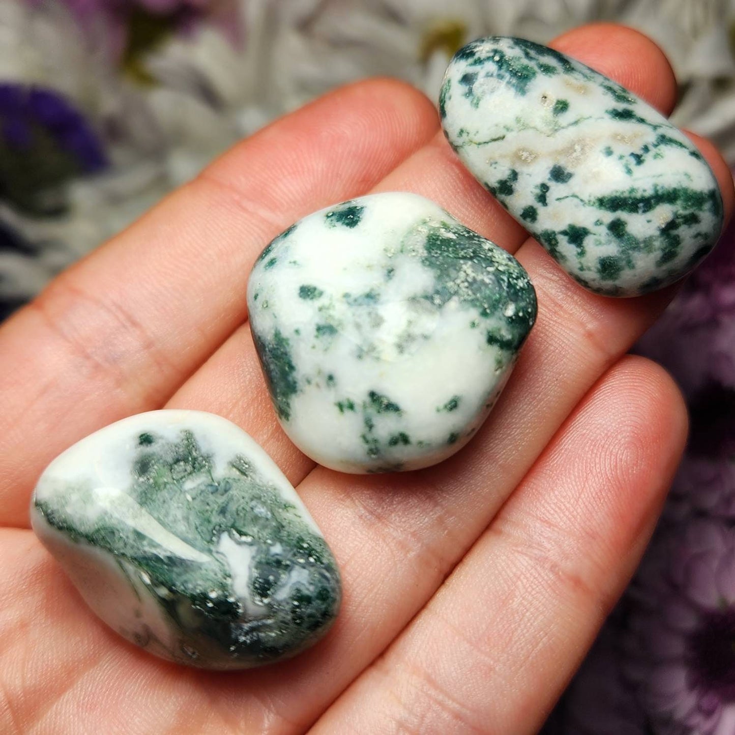Tree Agate Crystal