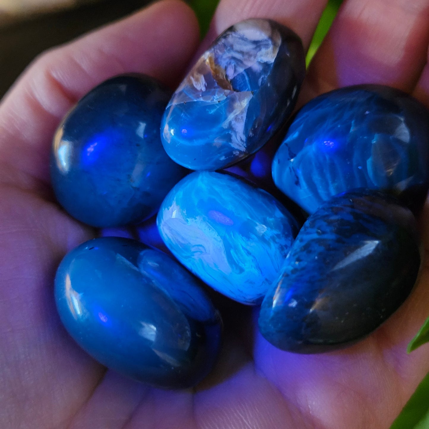 Blue Amber Specimen