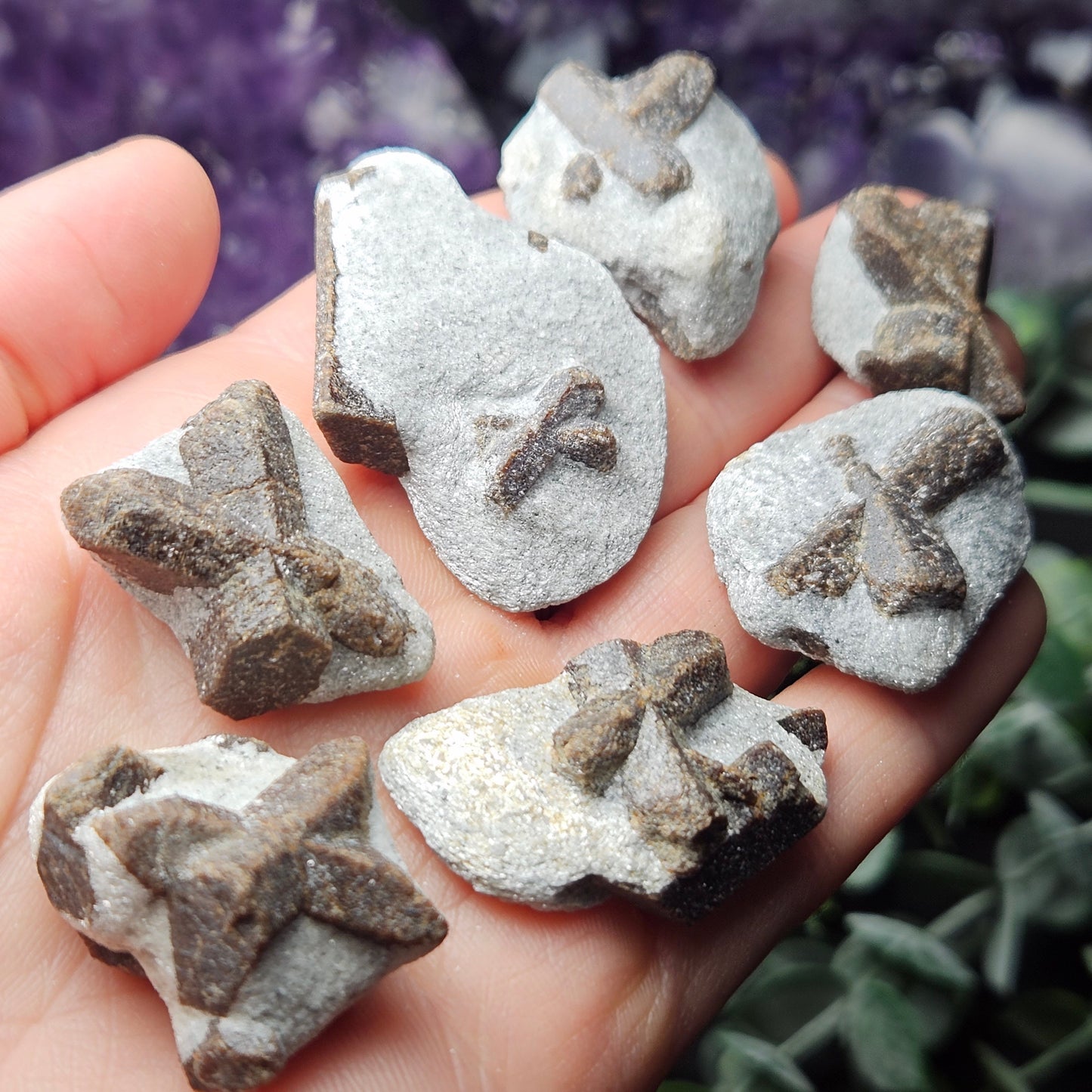Staurolite Crystal