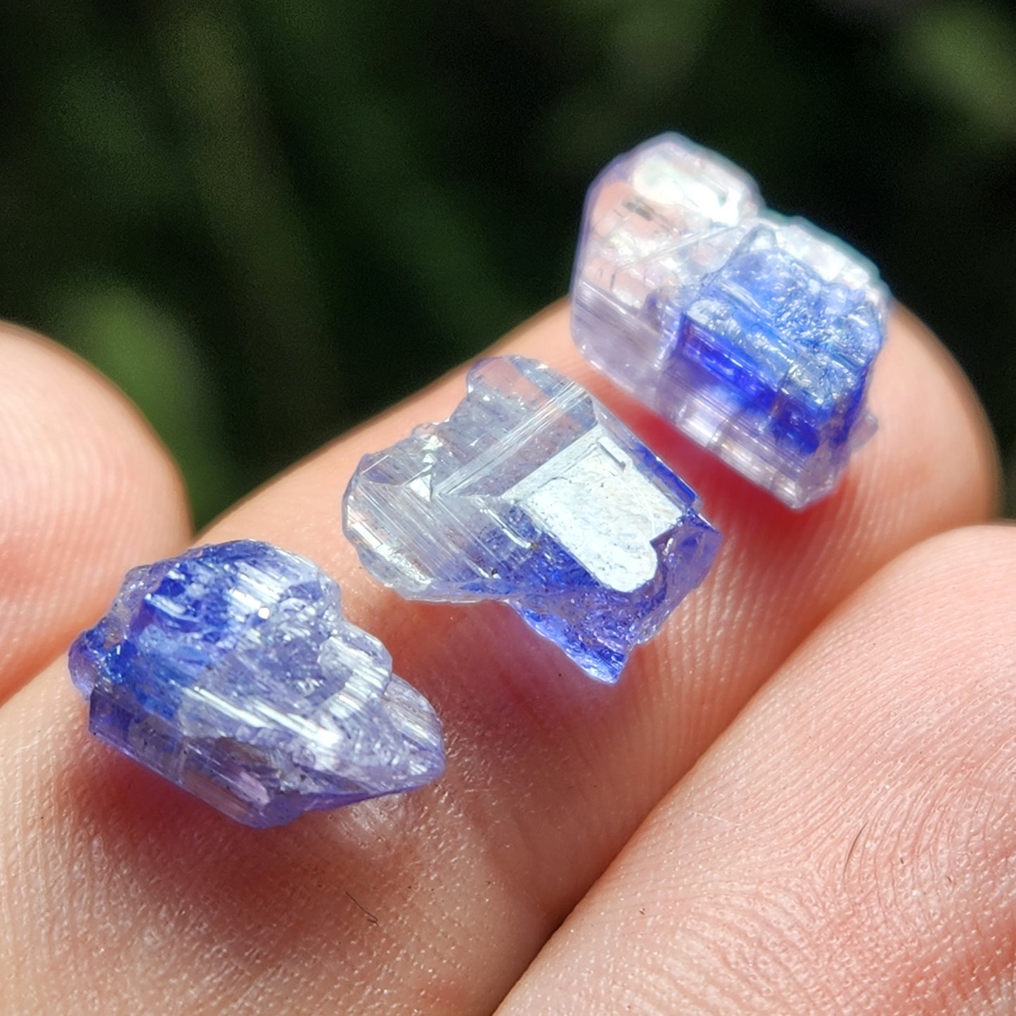 Bi