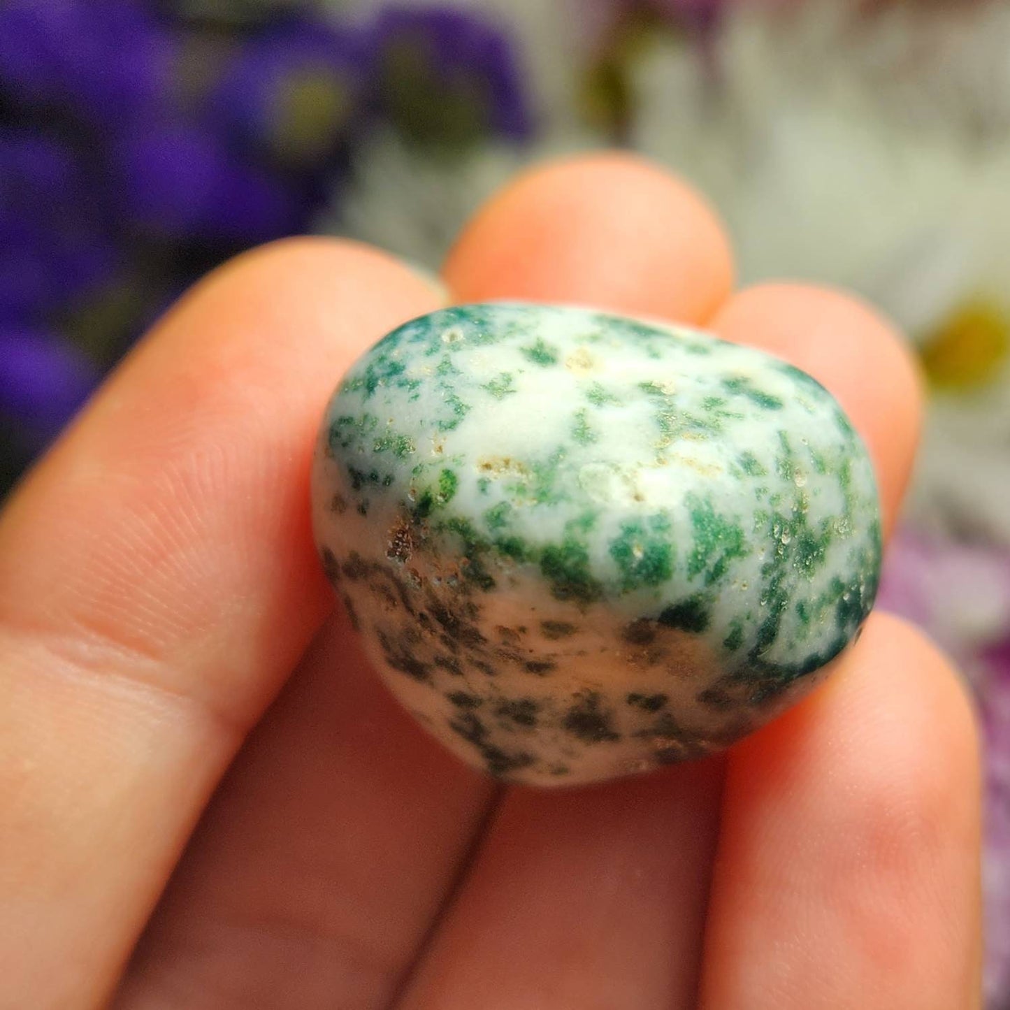 Tree Agate Crystal
