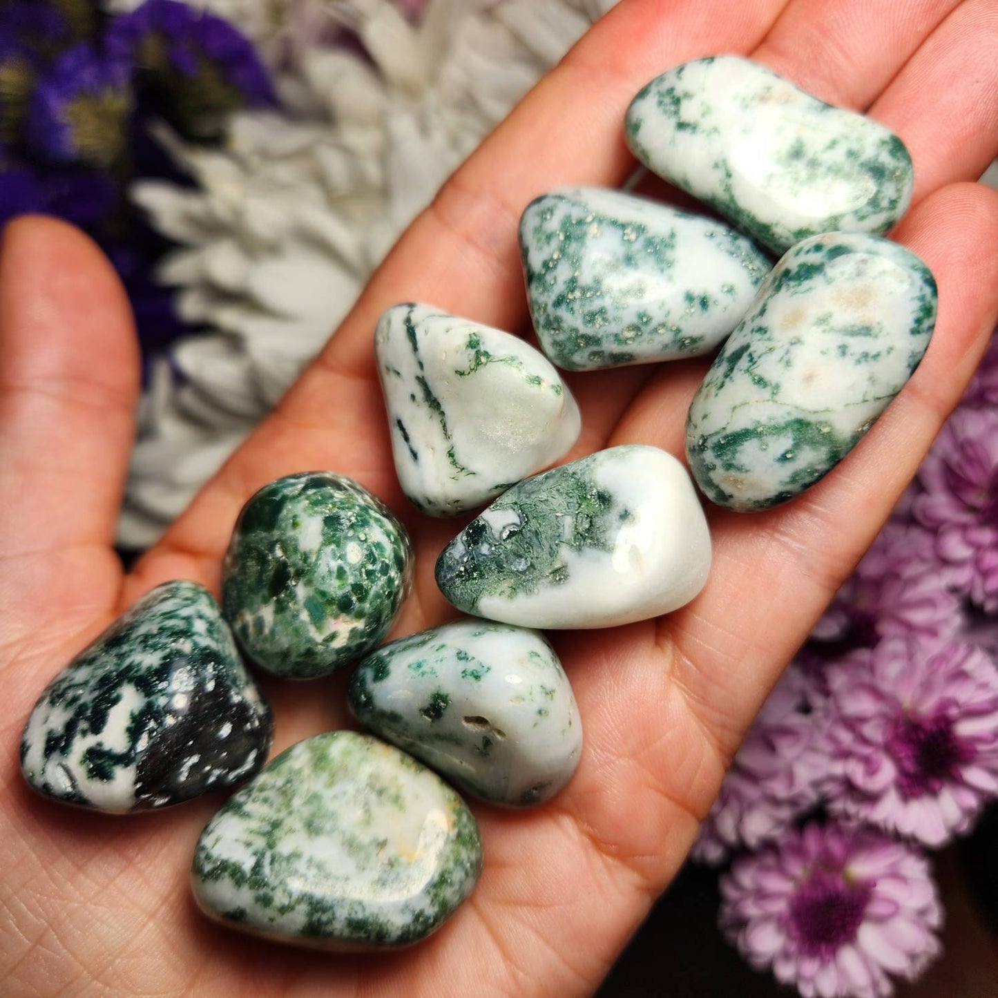 Tree Agate Crystal