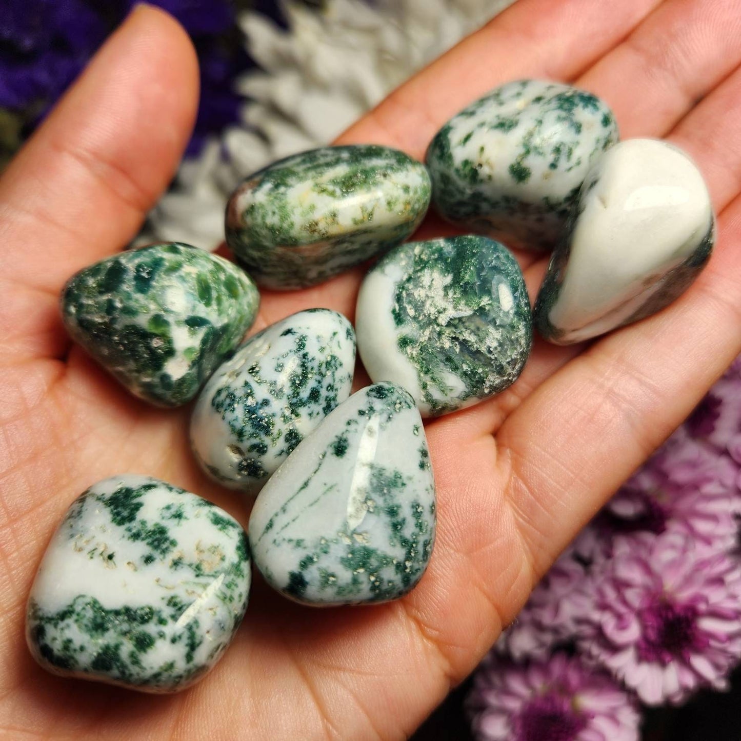 Tree Agate Crystal