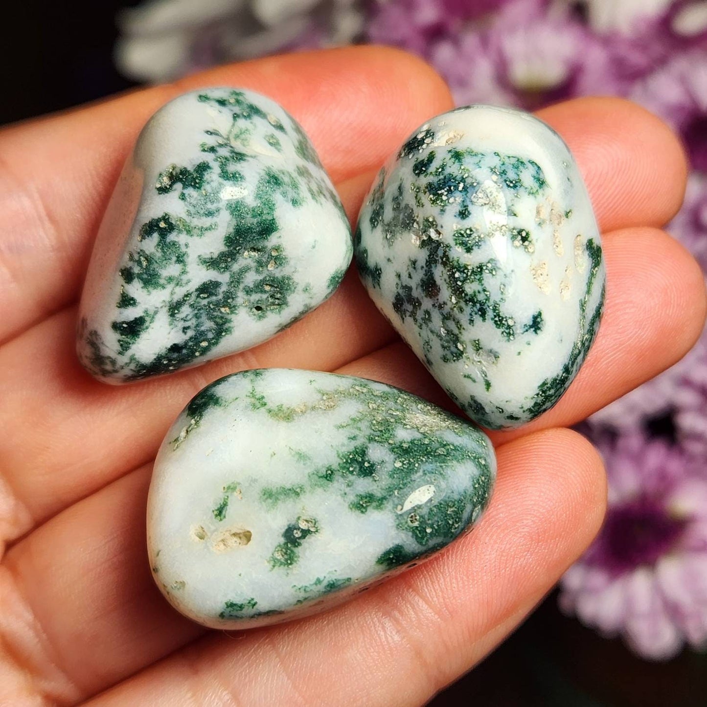 Tree Agate Crystal