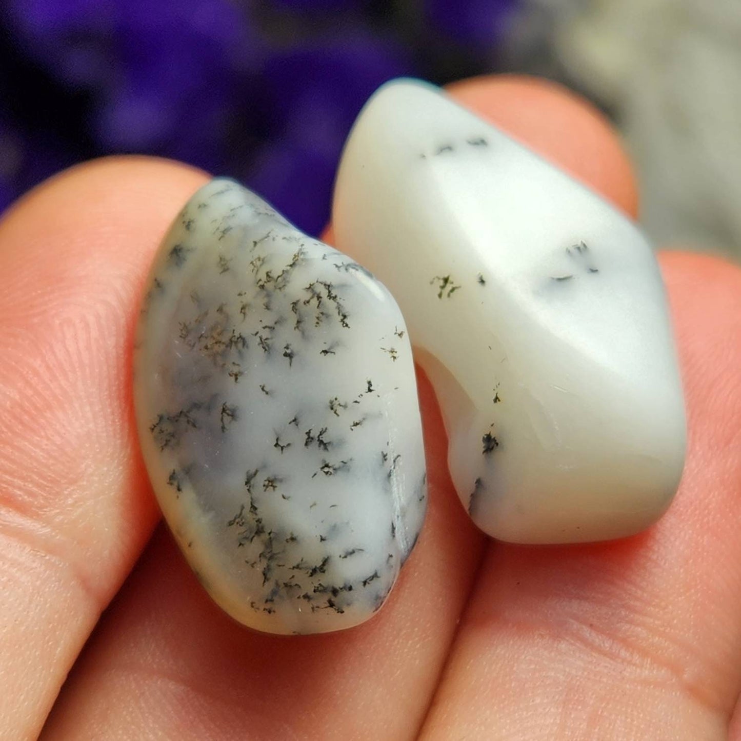 Dendtritic Opal Crystal
