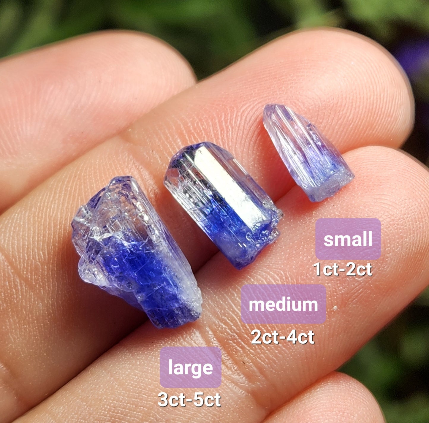 Bi