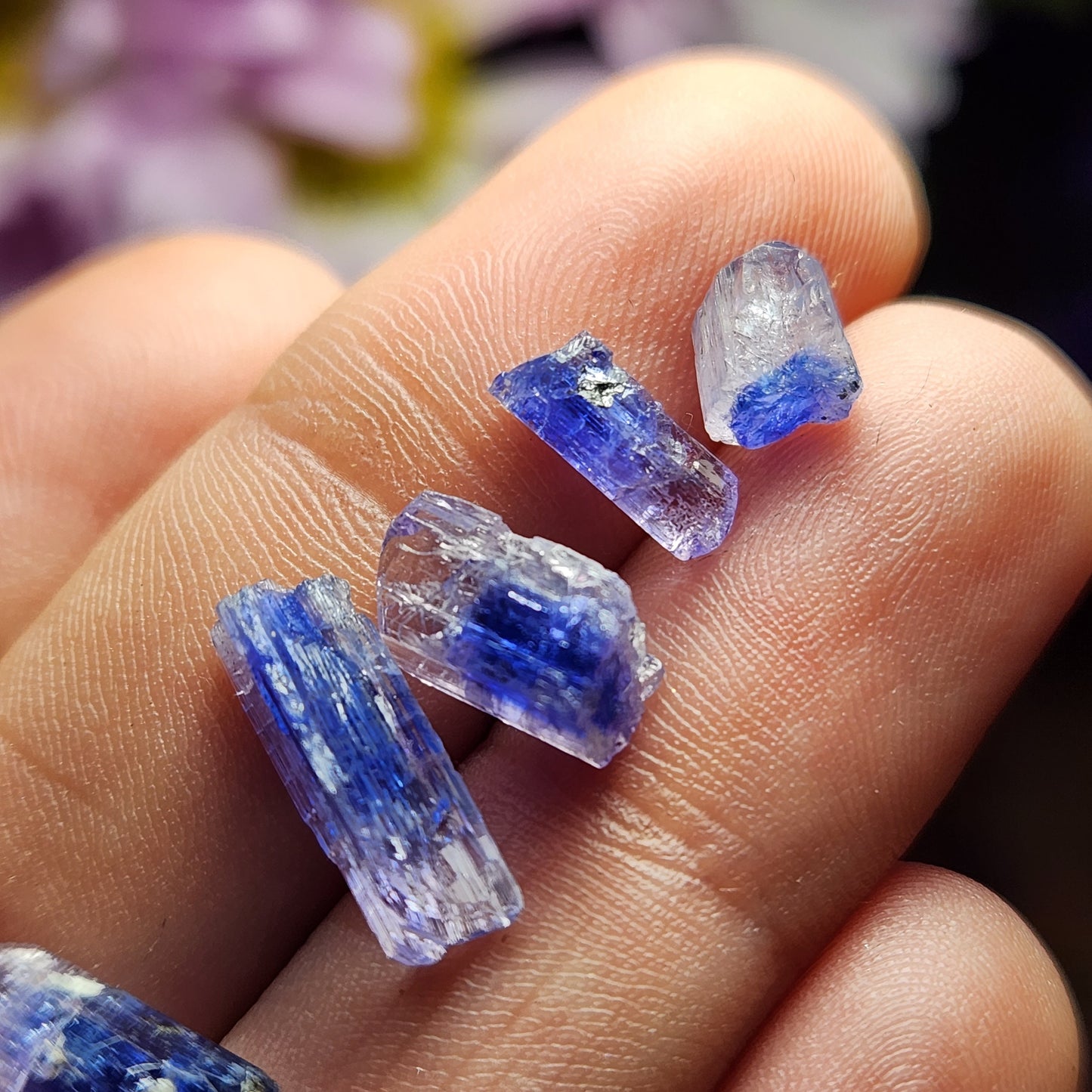 Bi