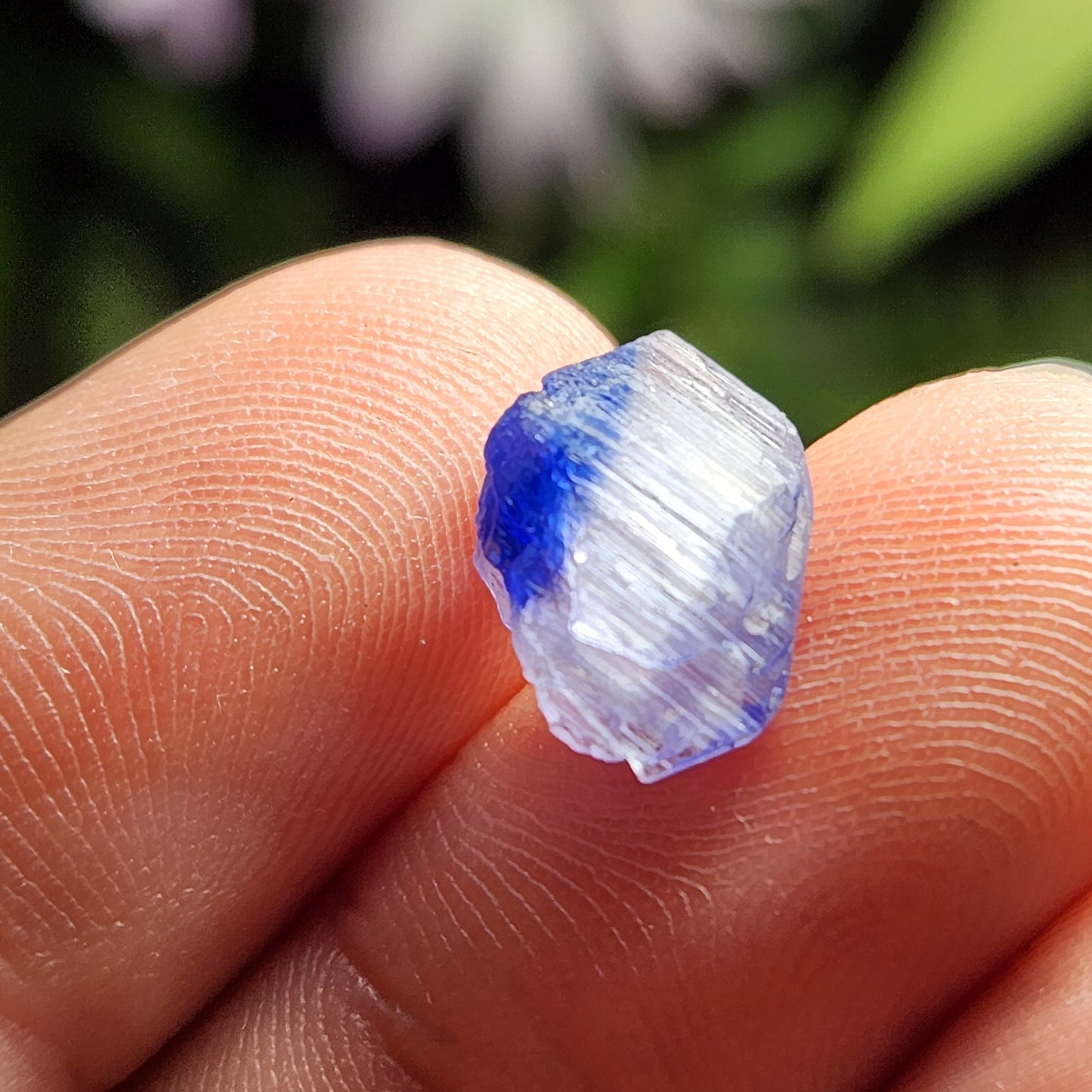 Tanzanite Gemstone