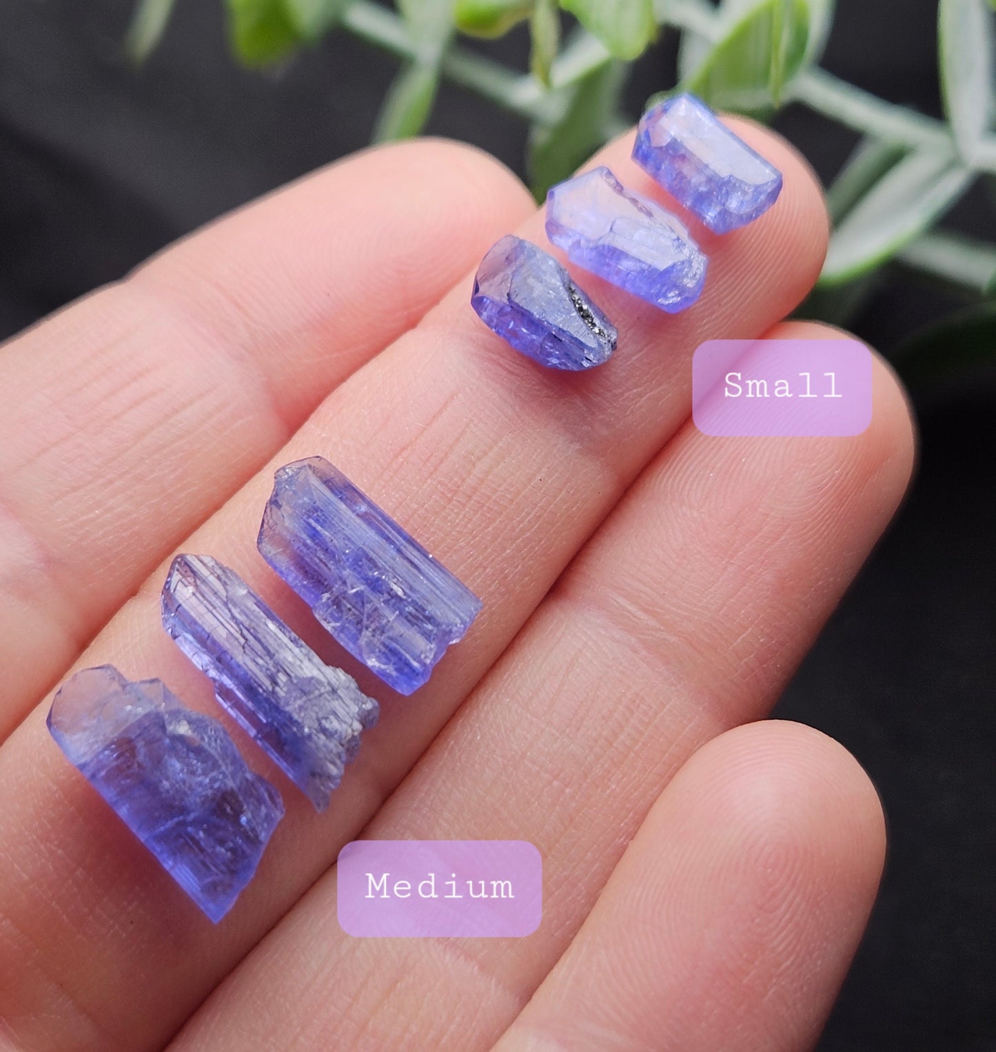 Tanzanite Crystal