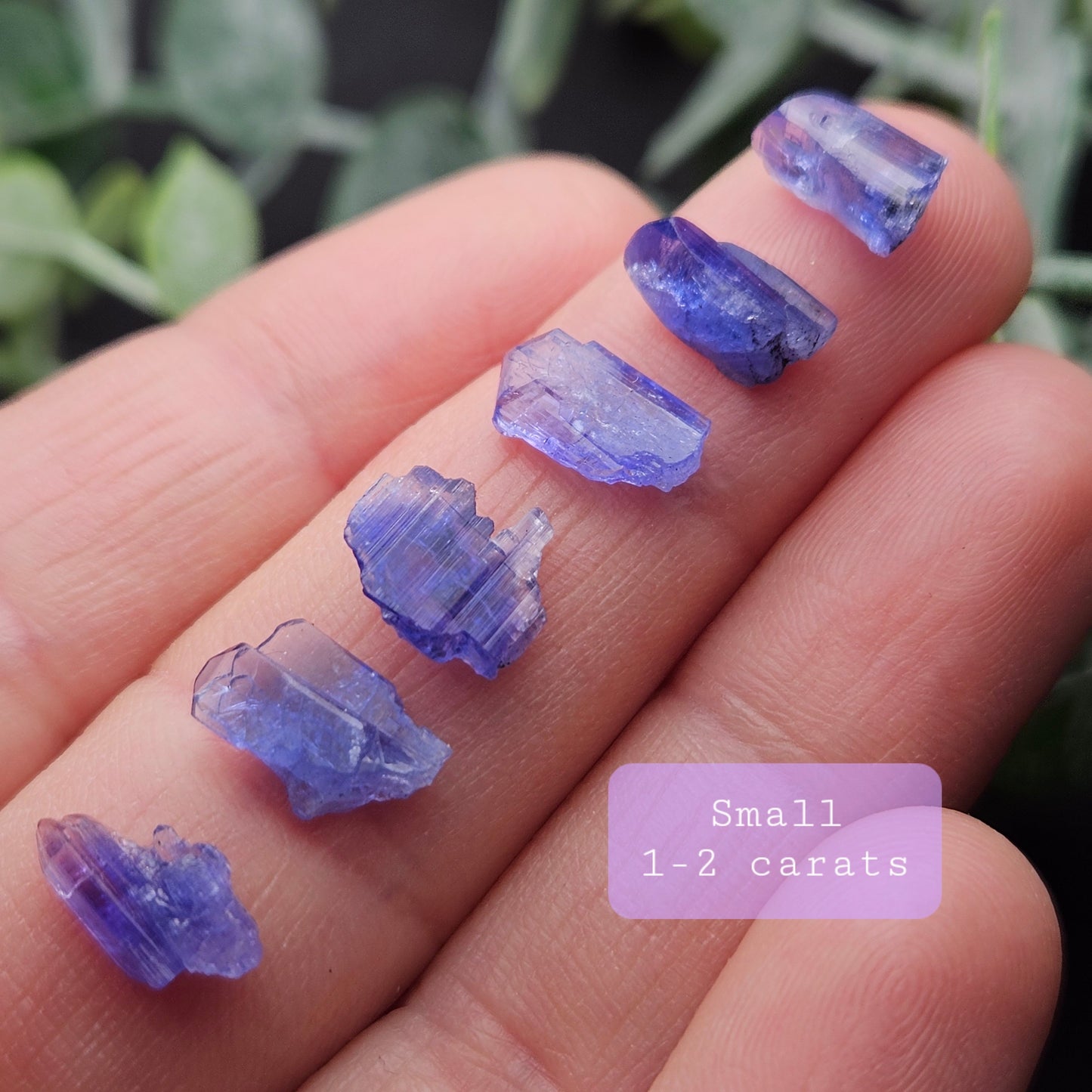 Tanzanite Crystal