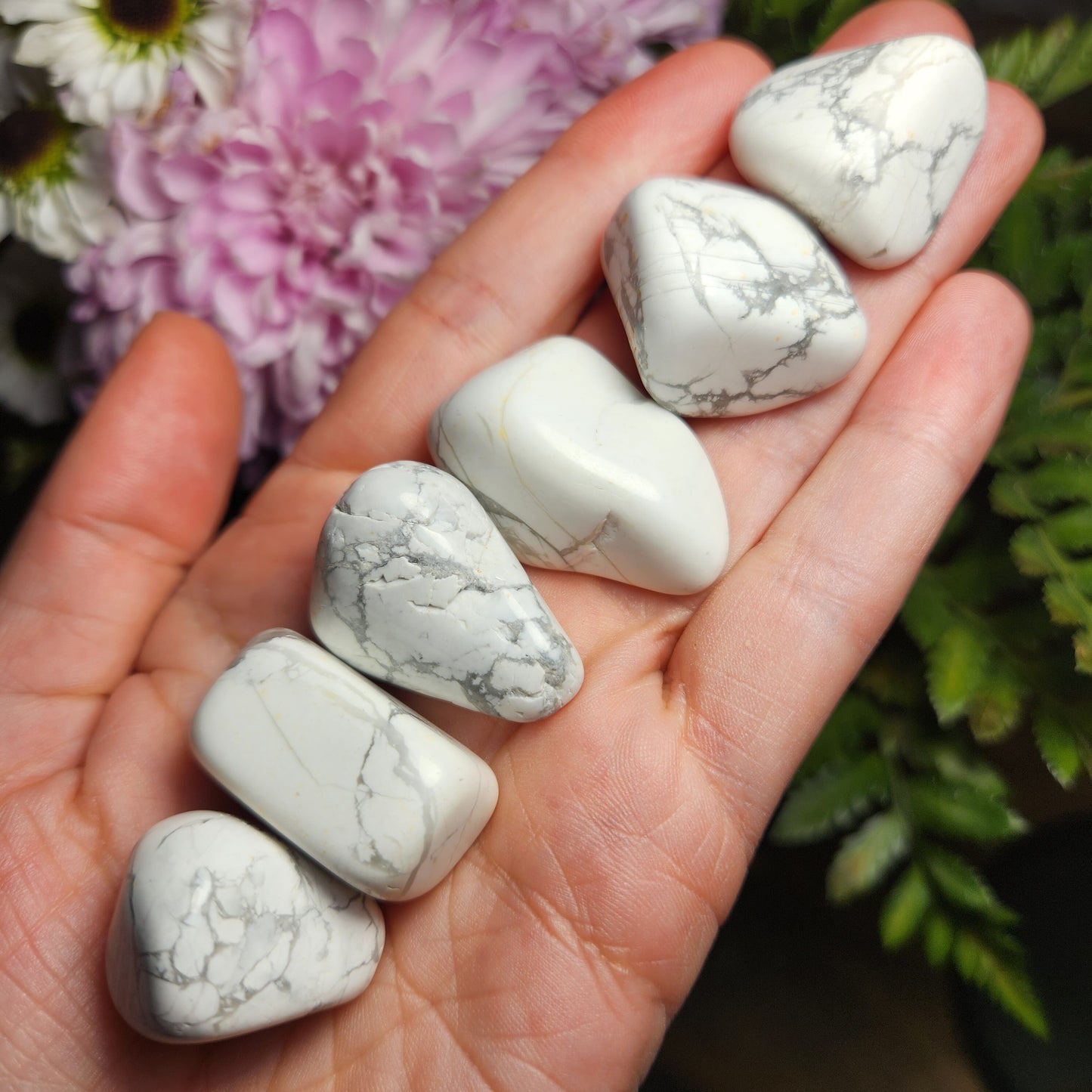 Howlite Crystal