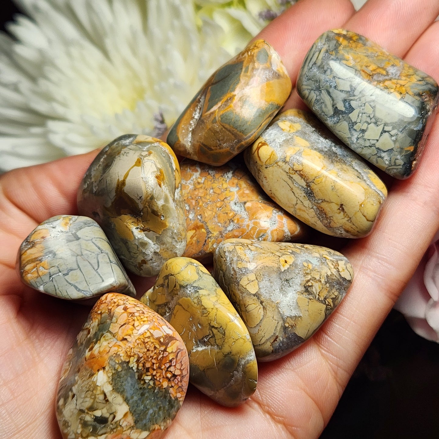 Ibis Jasper Crystal
