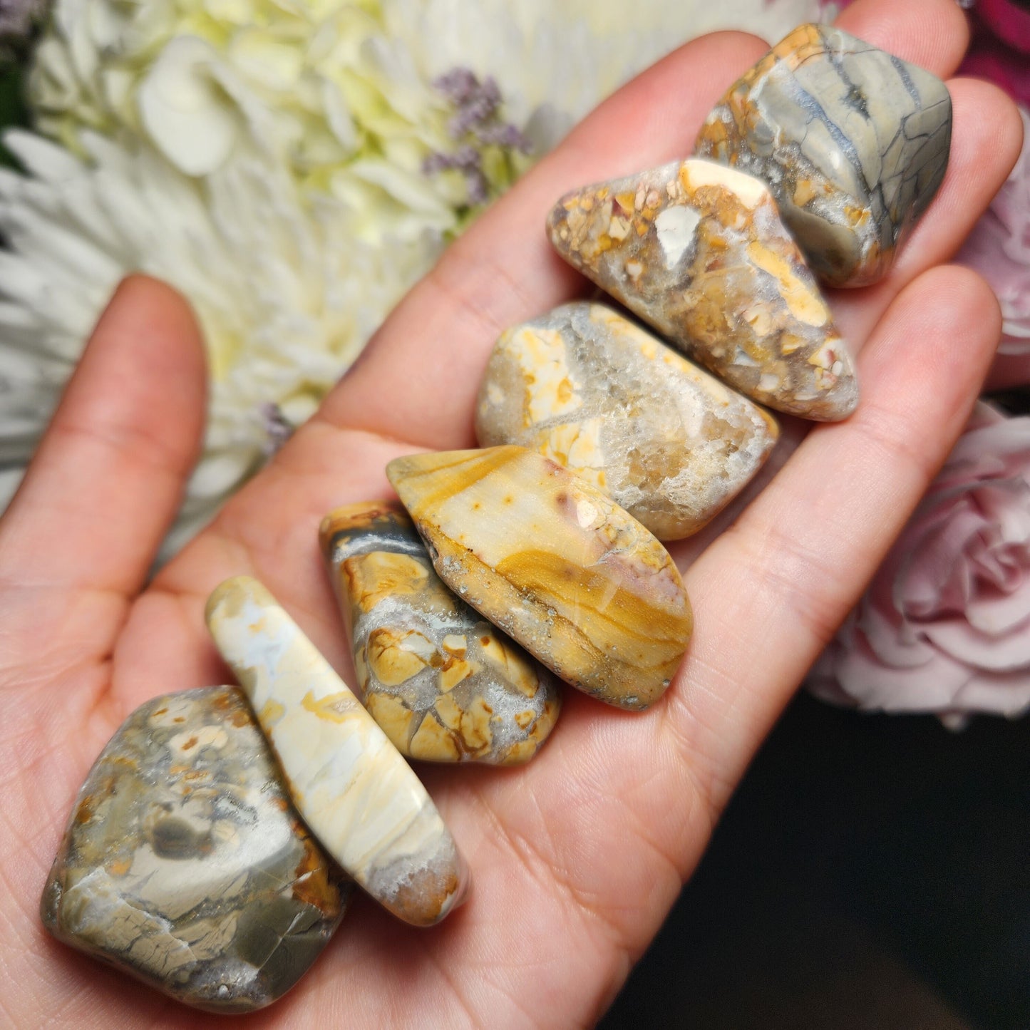 Ibis Jasper Crystal