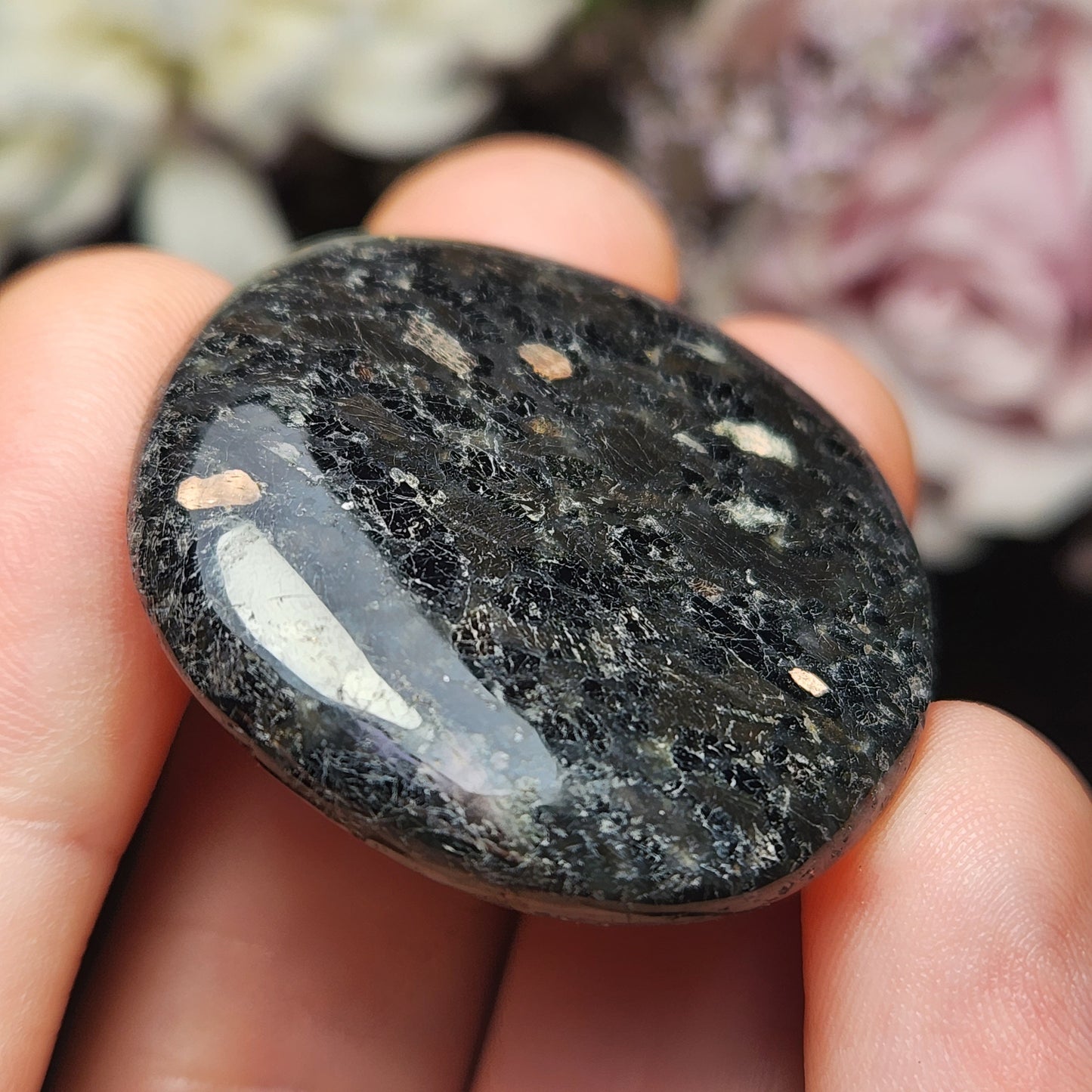 Nuummite Crystal