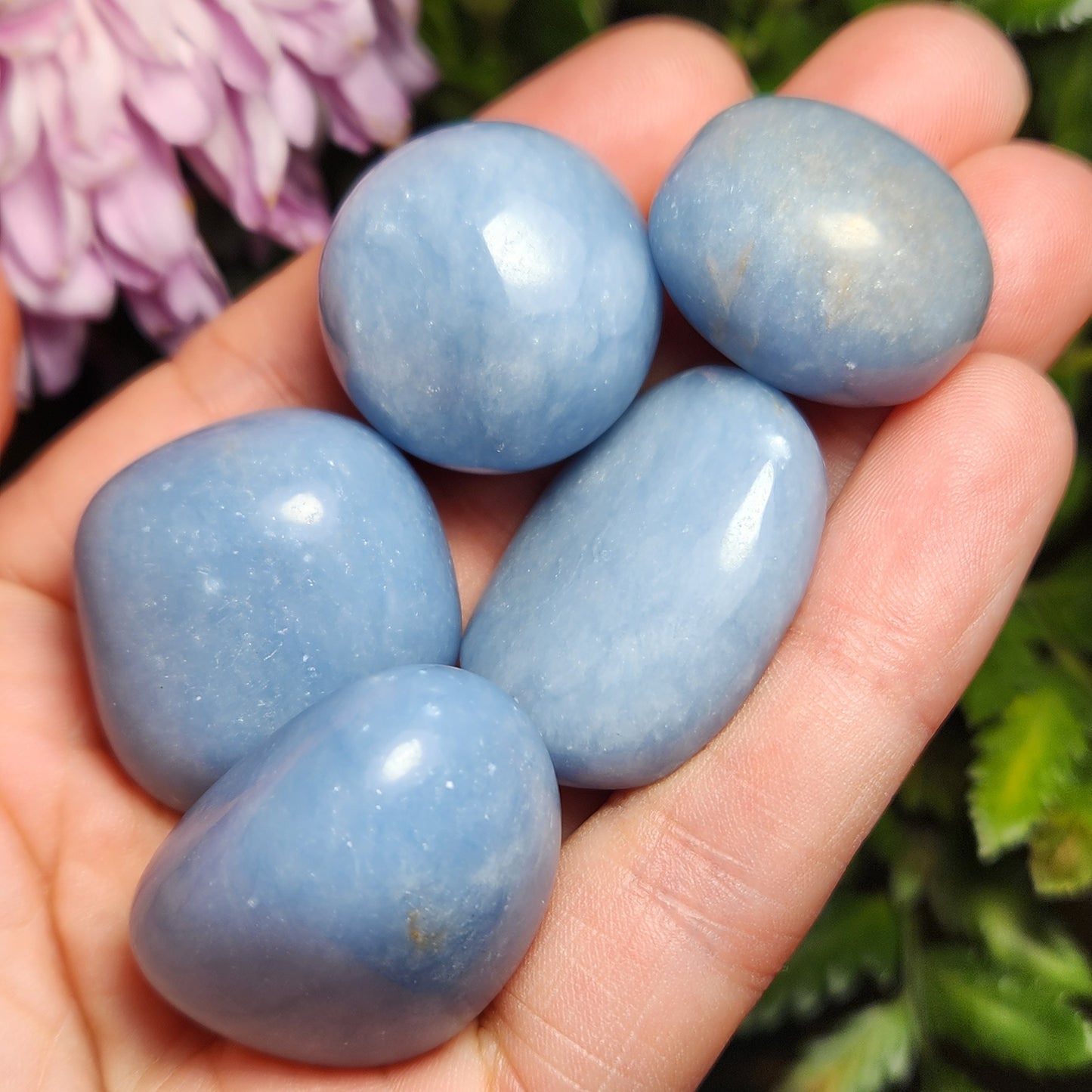 Angelite Crystal