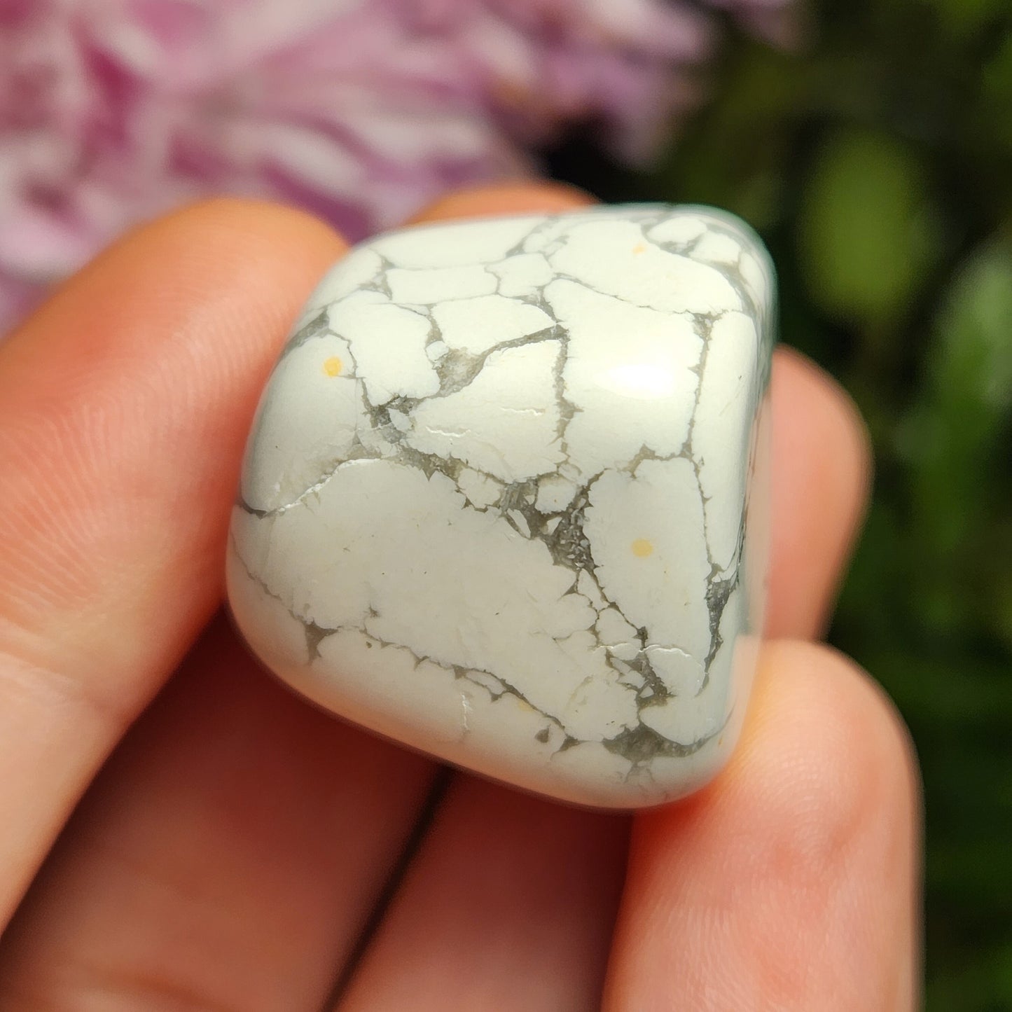 Howlite Crystal
